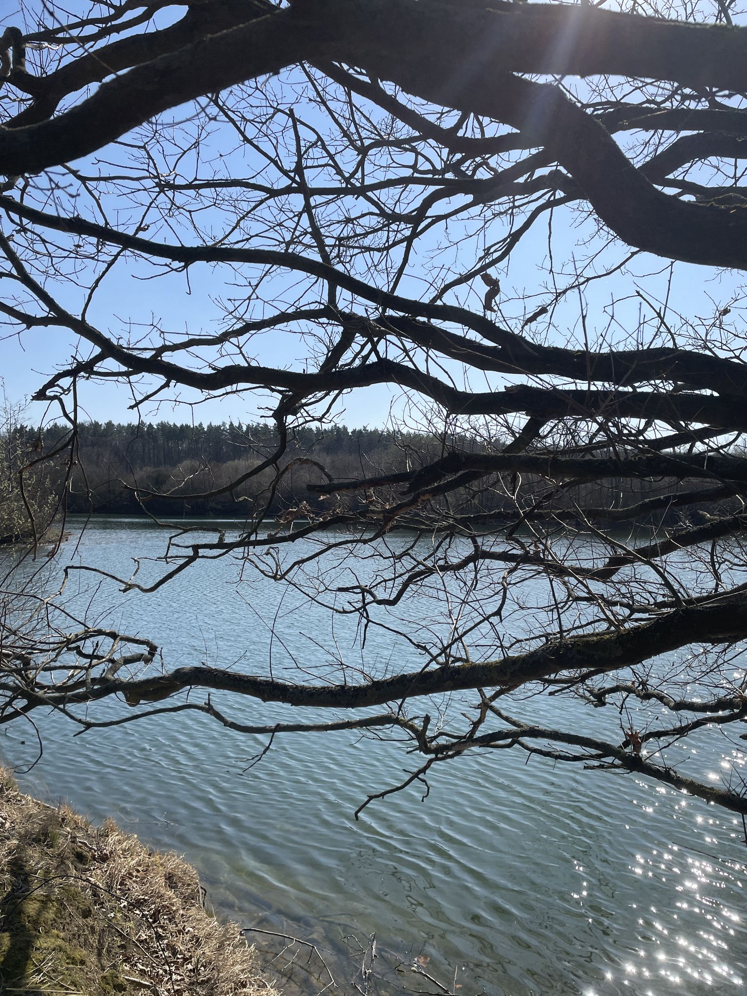 Schöner kleiner Teich zwischen Groß Sisbeck und Querenhorst