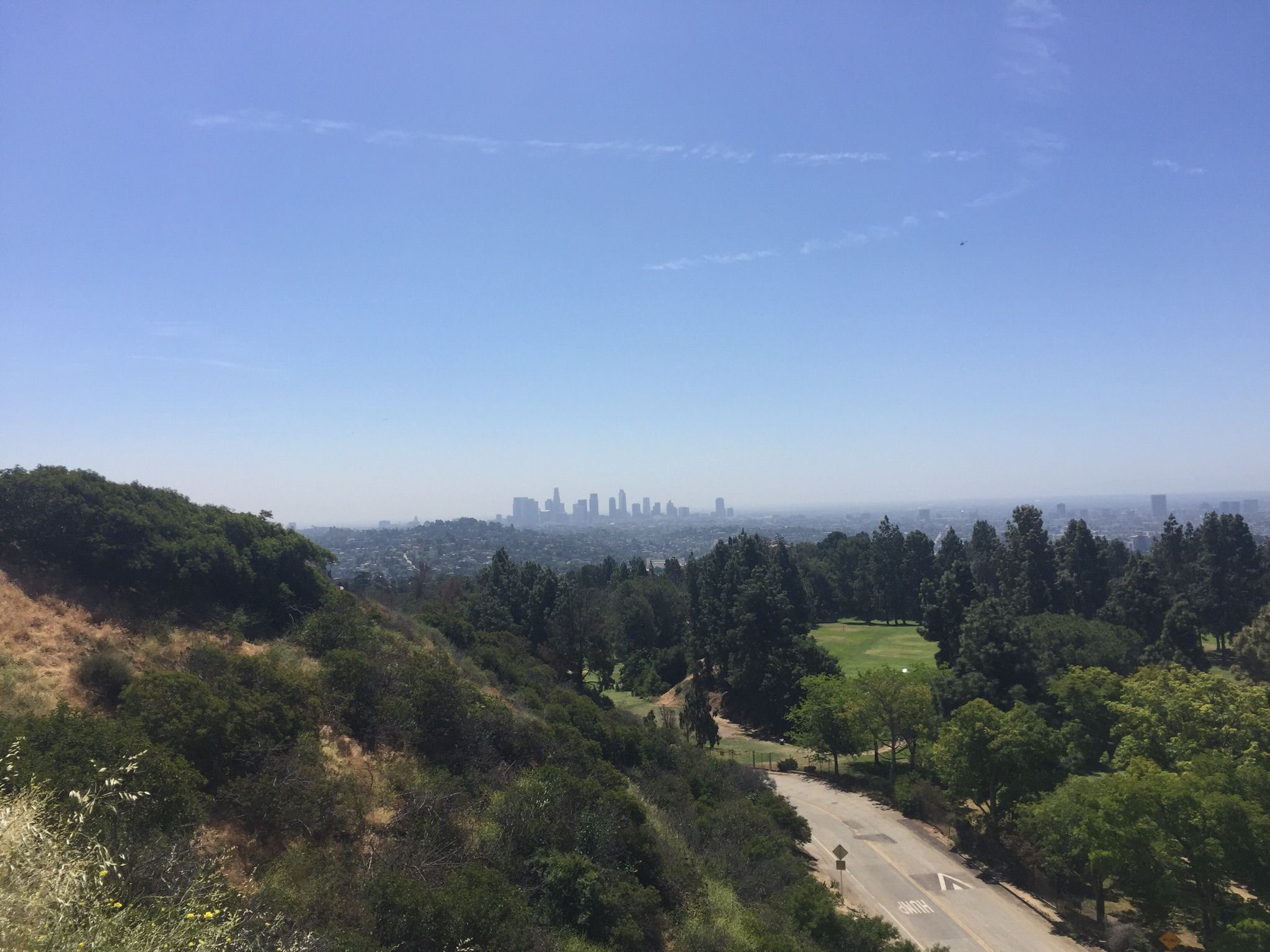 Distant city skyline over green forested hills and a golf course. - Ladder to the Trail – Glendale Peak loop from Los Angeles Zoo