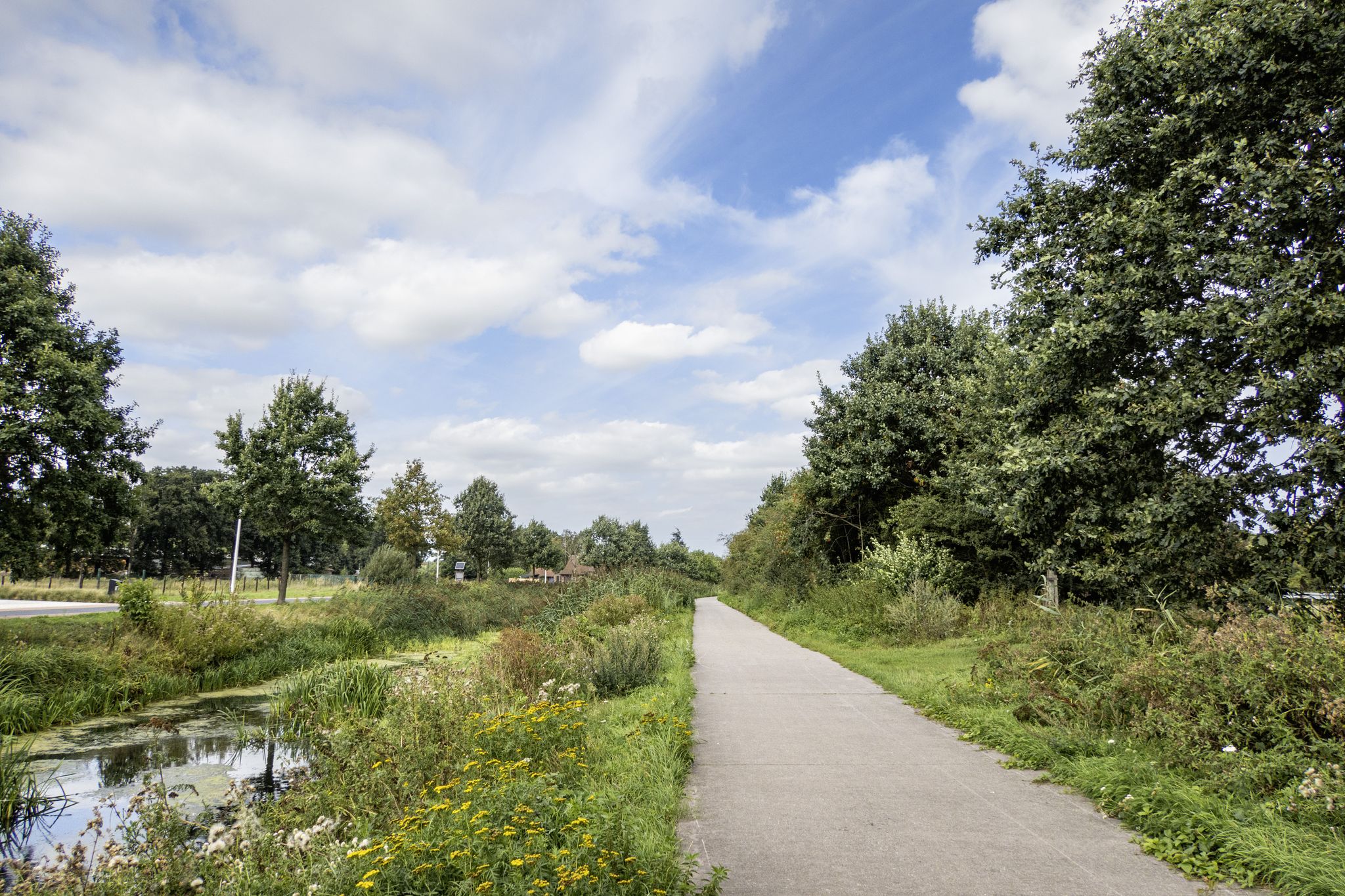 Langs de Langelede in Wachtebeke
