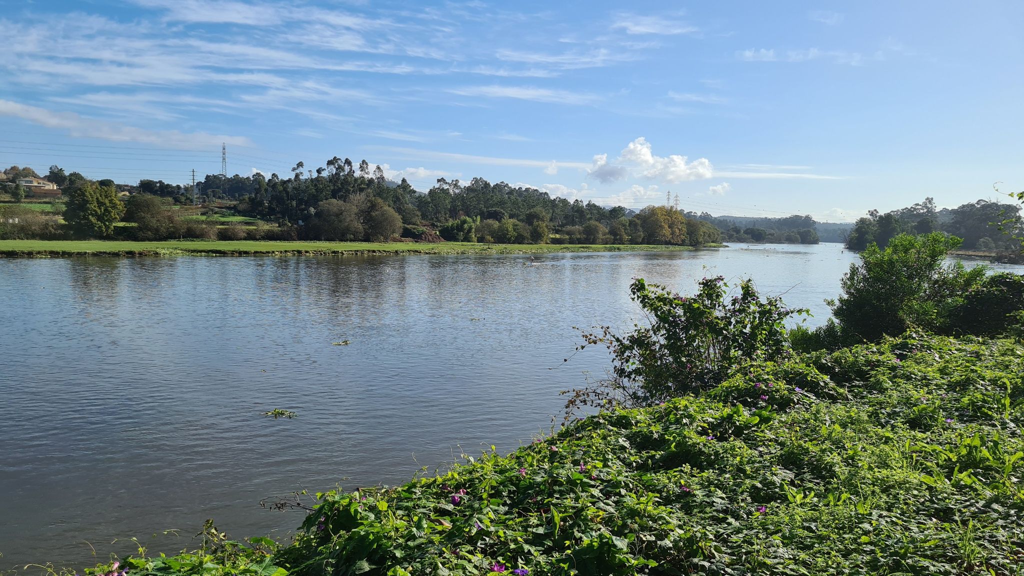 barca do lago
