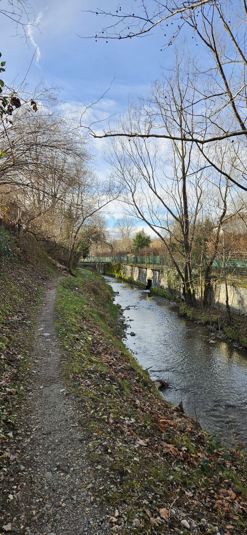 Grenzweg