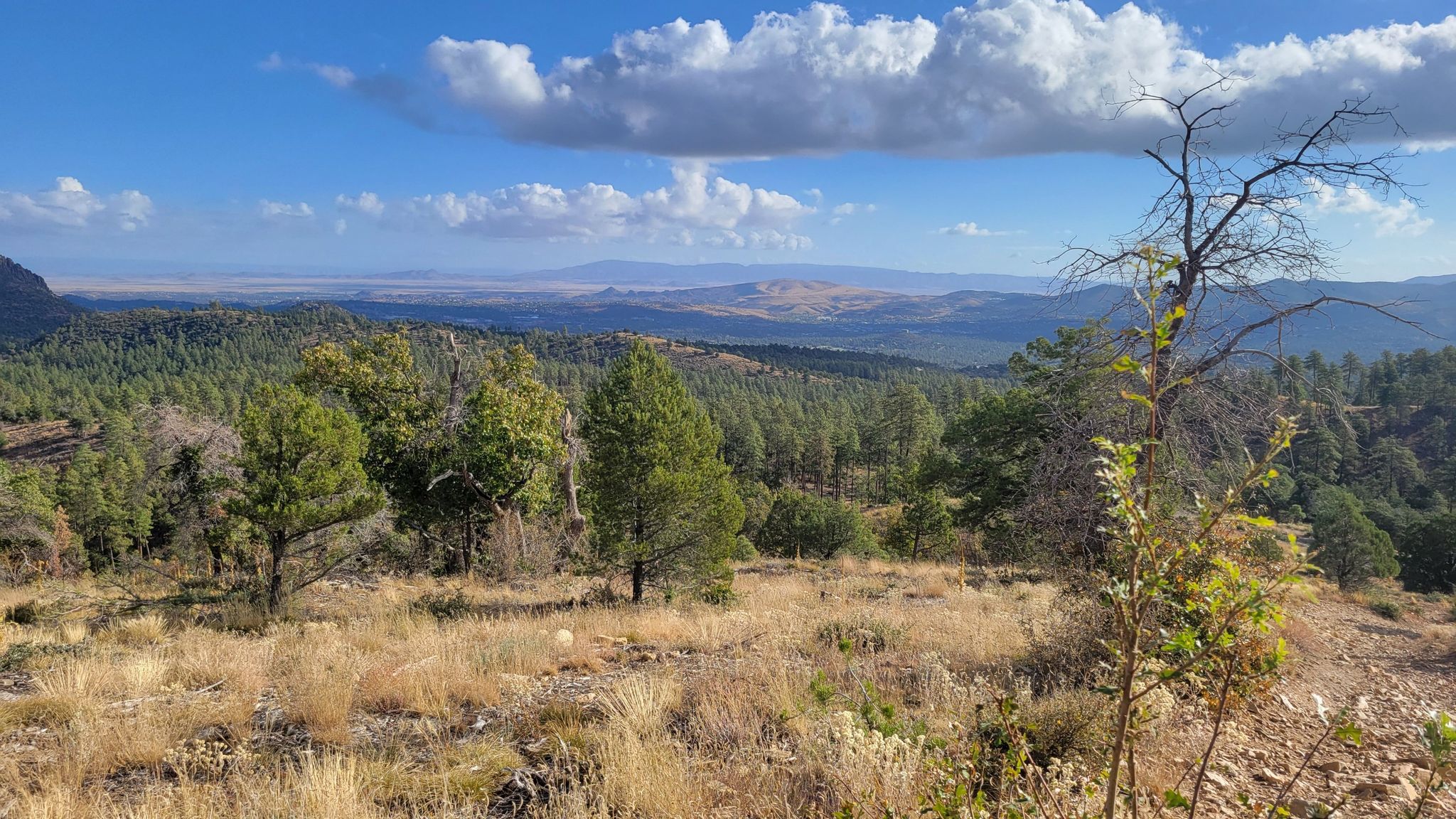 Sunny view of a forested valley with distant mountains under a cloudy sky. - Skull Valley Overlook – Cold Springs Trail loop from Skull Valley Overlook