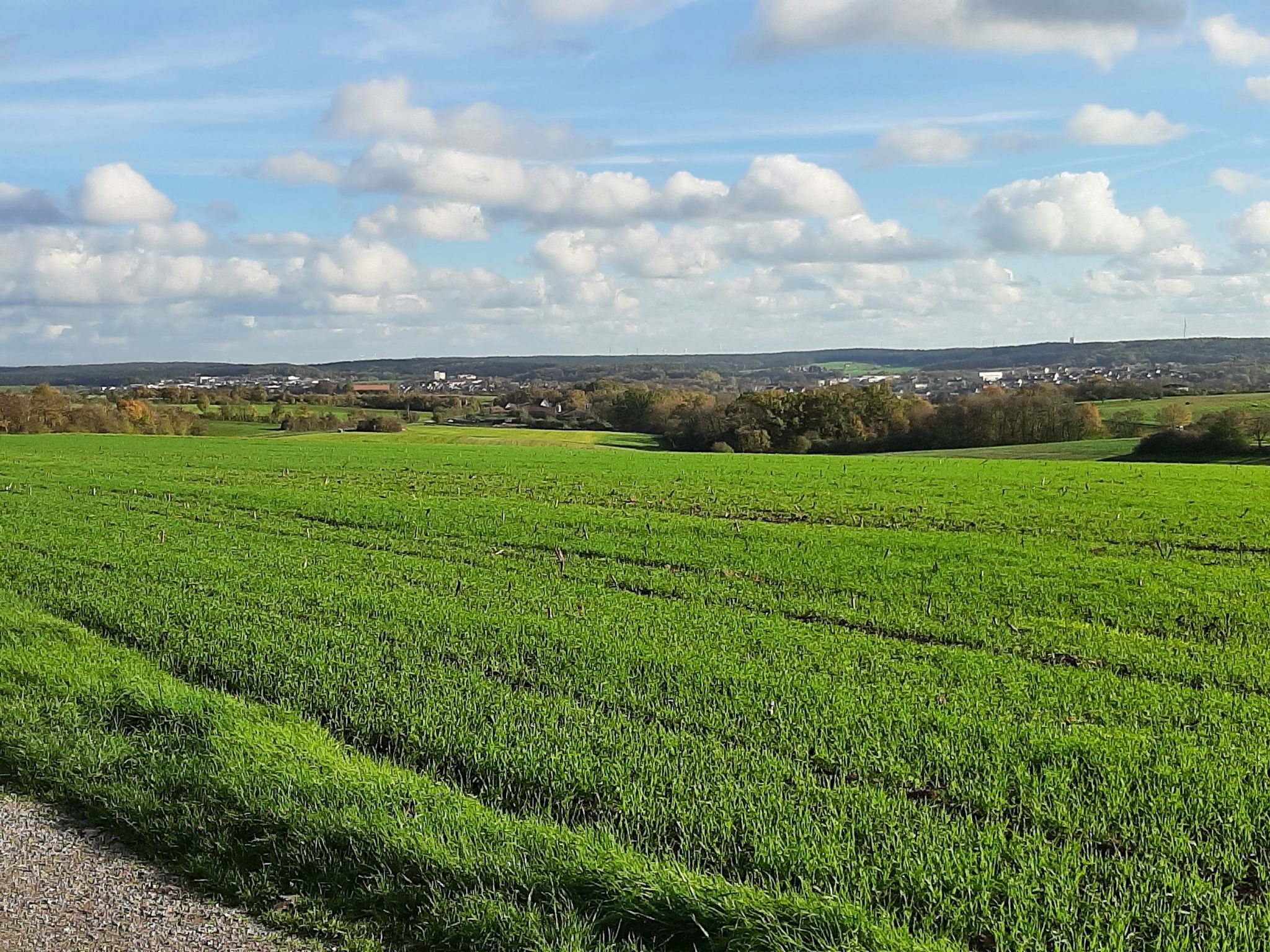 Blick auf Neustadt