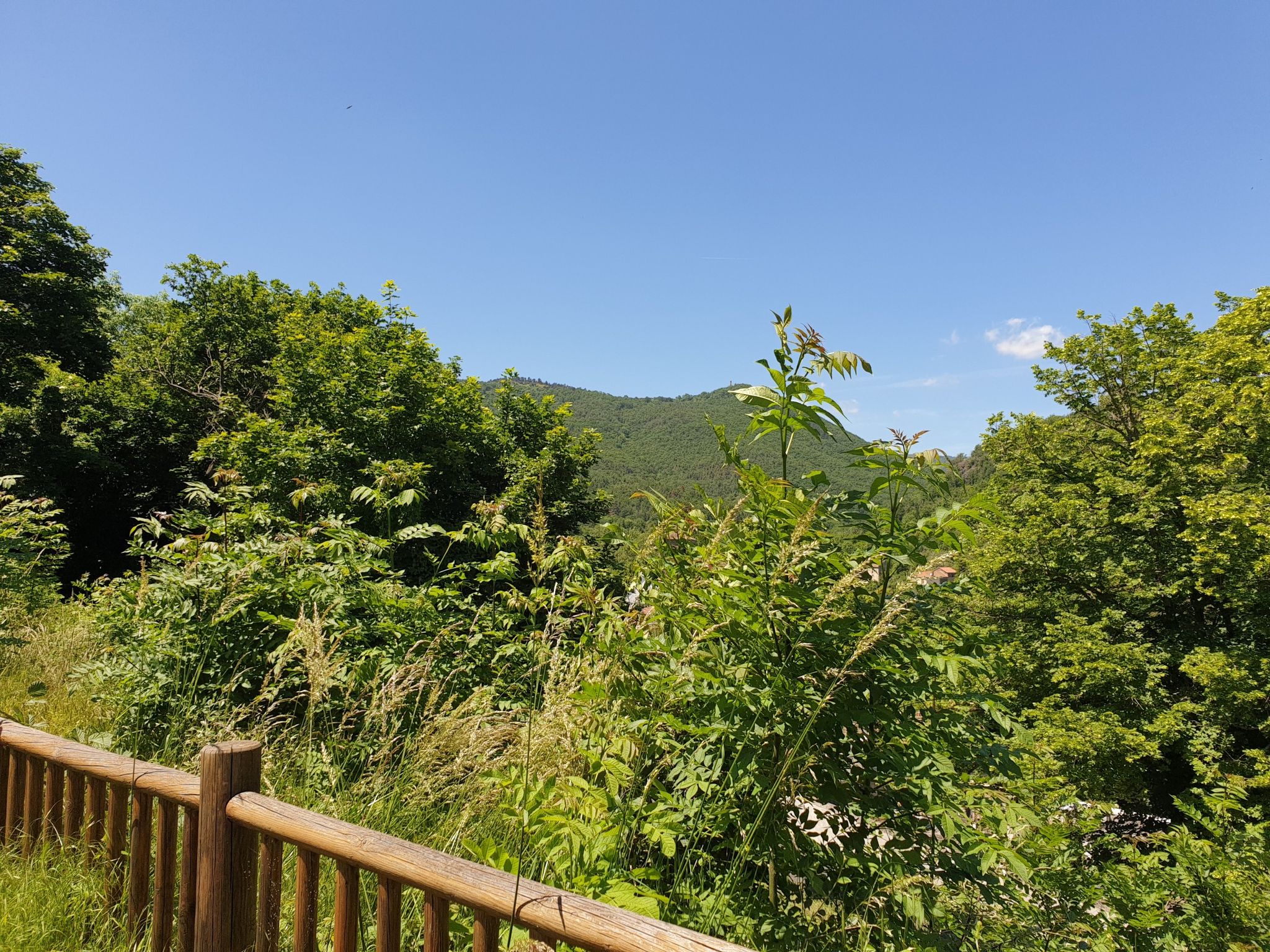 Blick auf den Chateau de Mercoeur