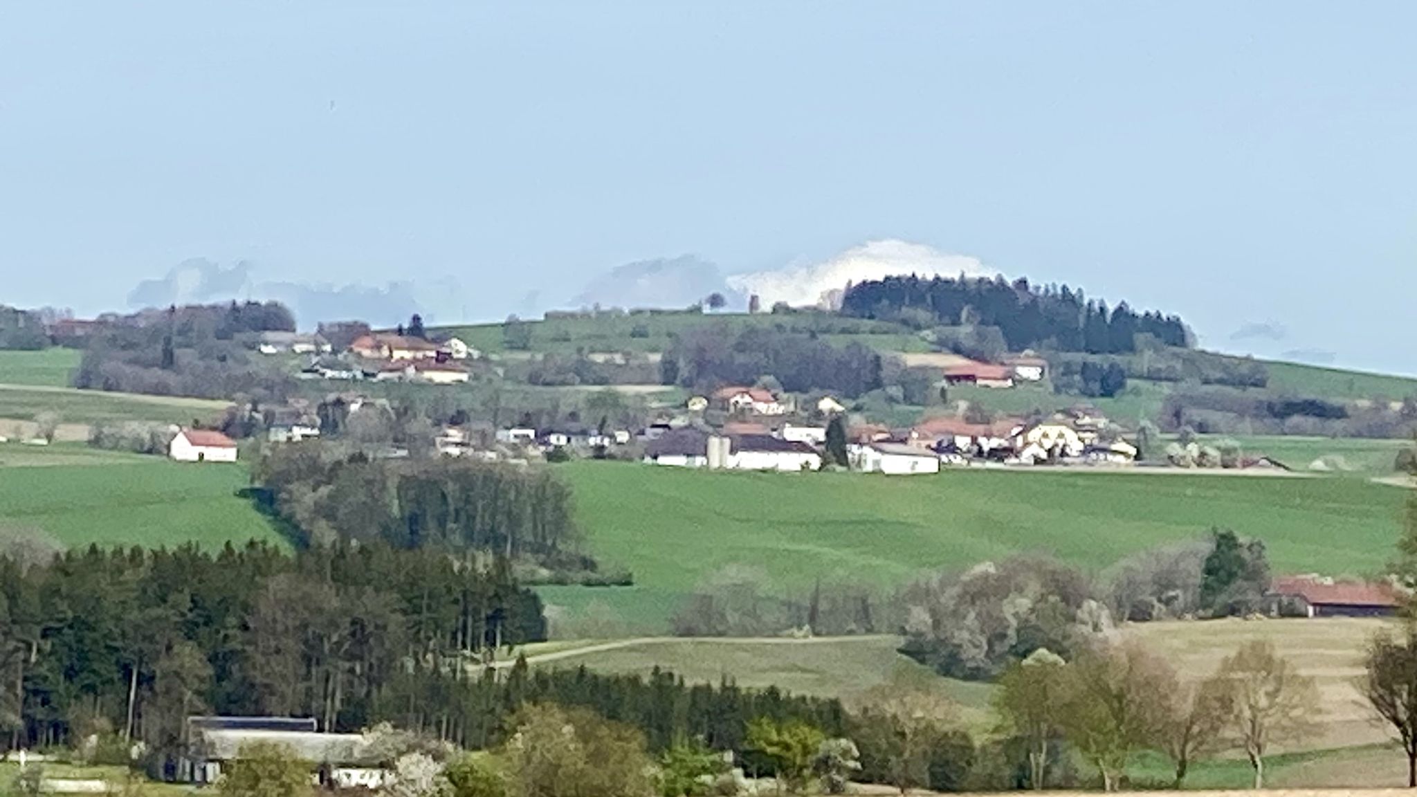 Mayrhoferberg mit Aussichtswarte
