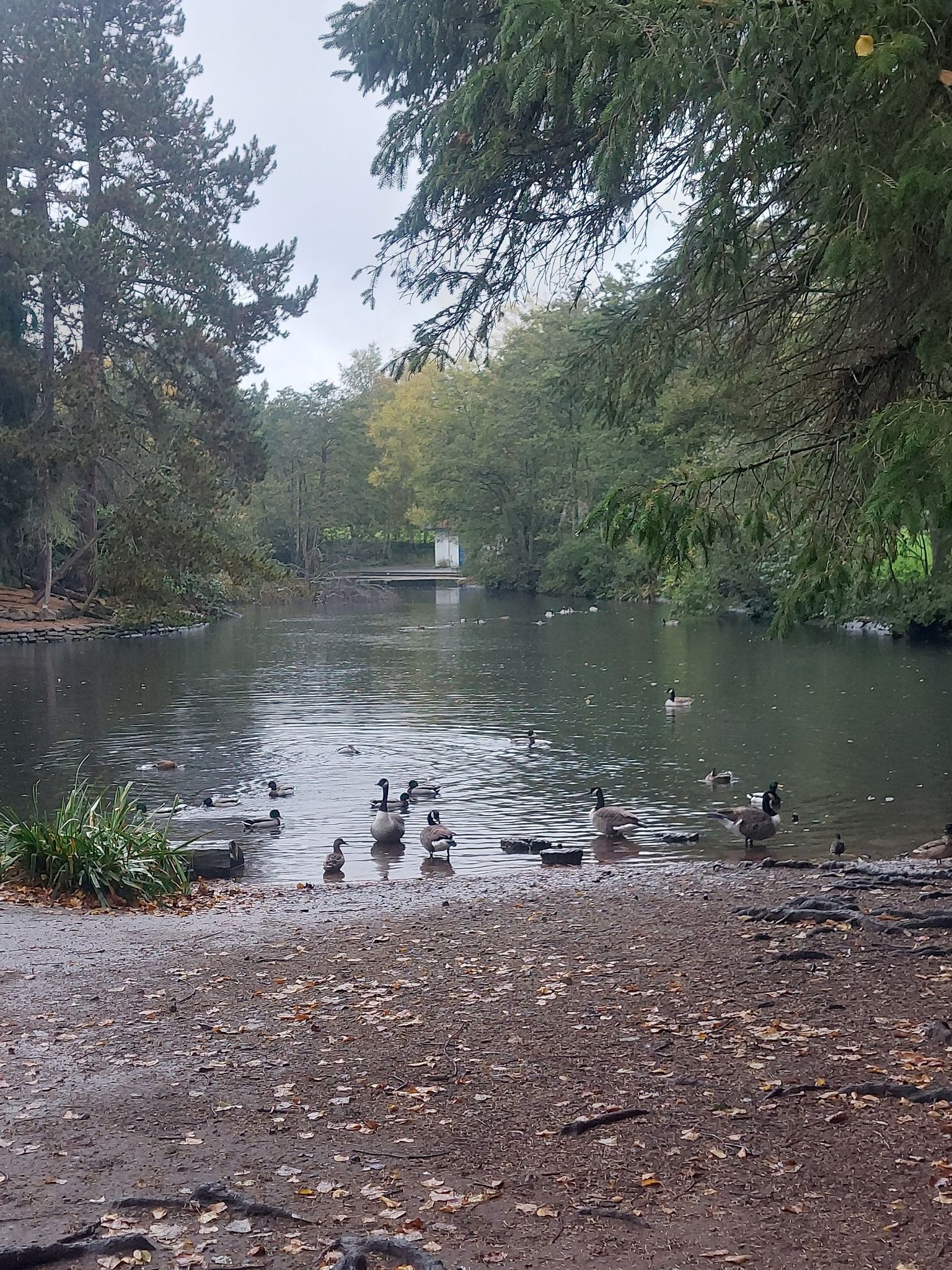 Calderatones Lake