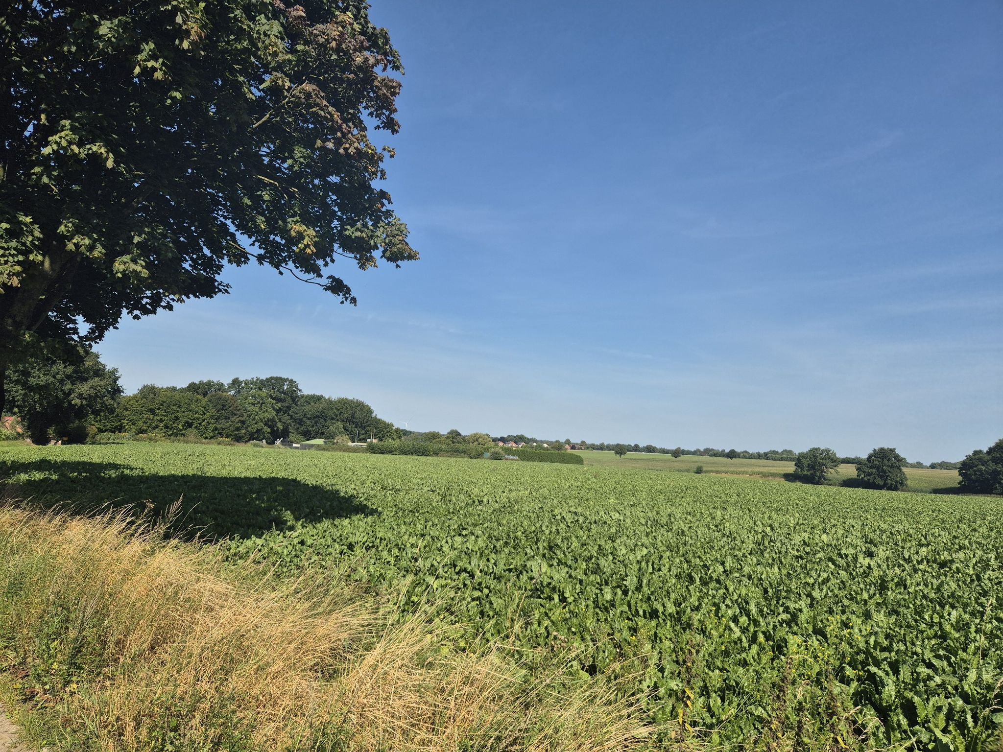 Ausblick über die Felder nach Klecken!