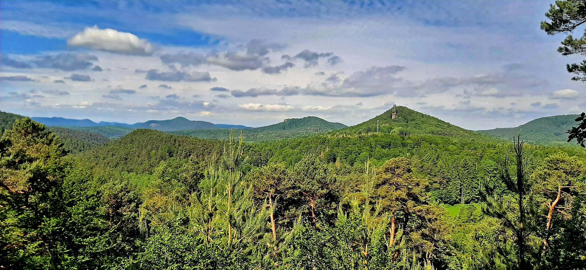 Aussicht Vogelskopf Ri. Westen