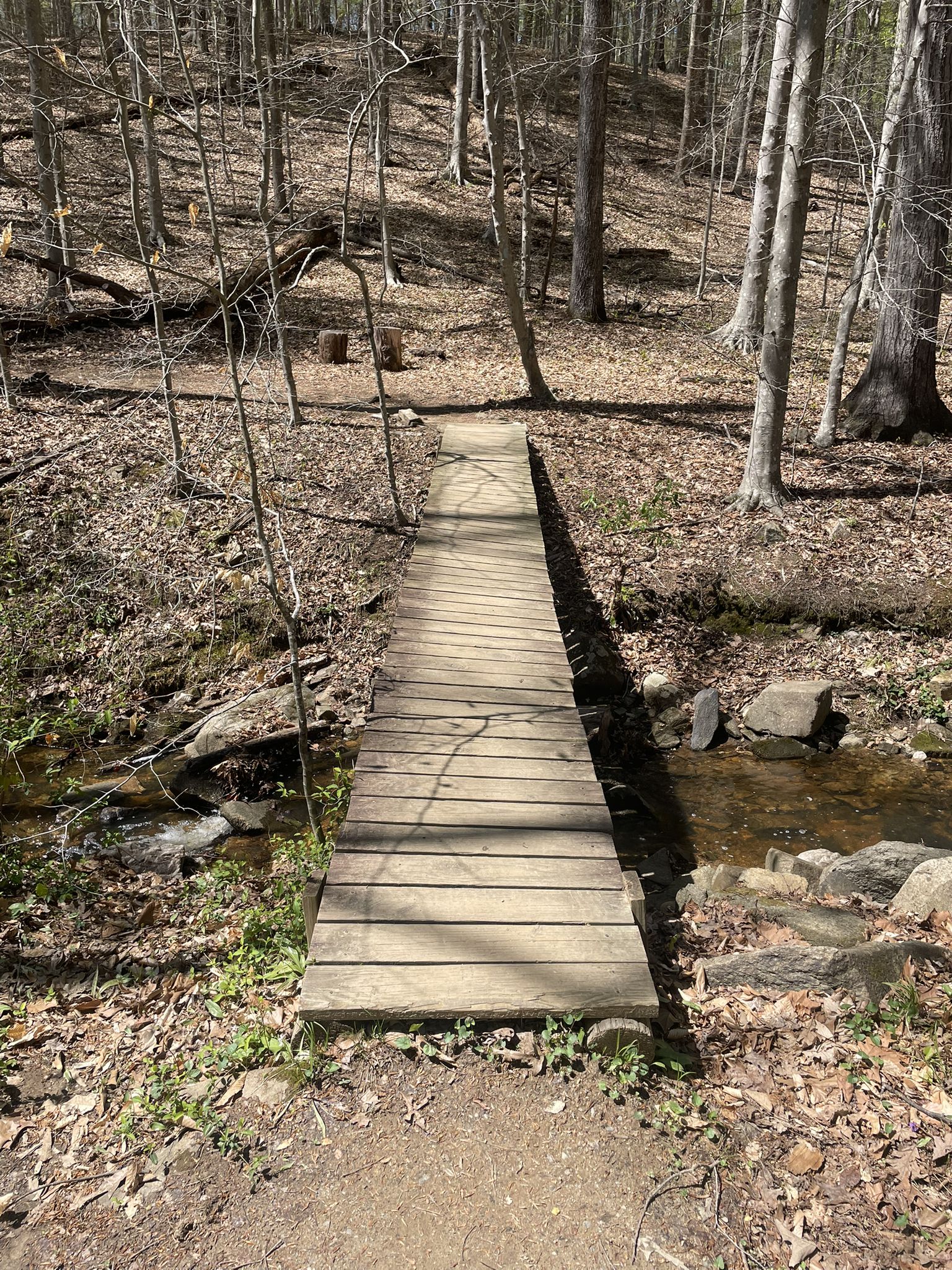 A narrow wooden footbridge crosses a rocky stream in a sunlit, bare forest. - Bull Run Occoquan Trail