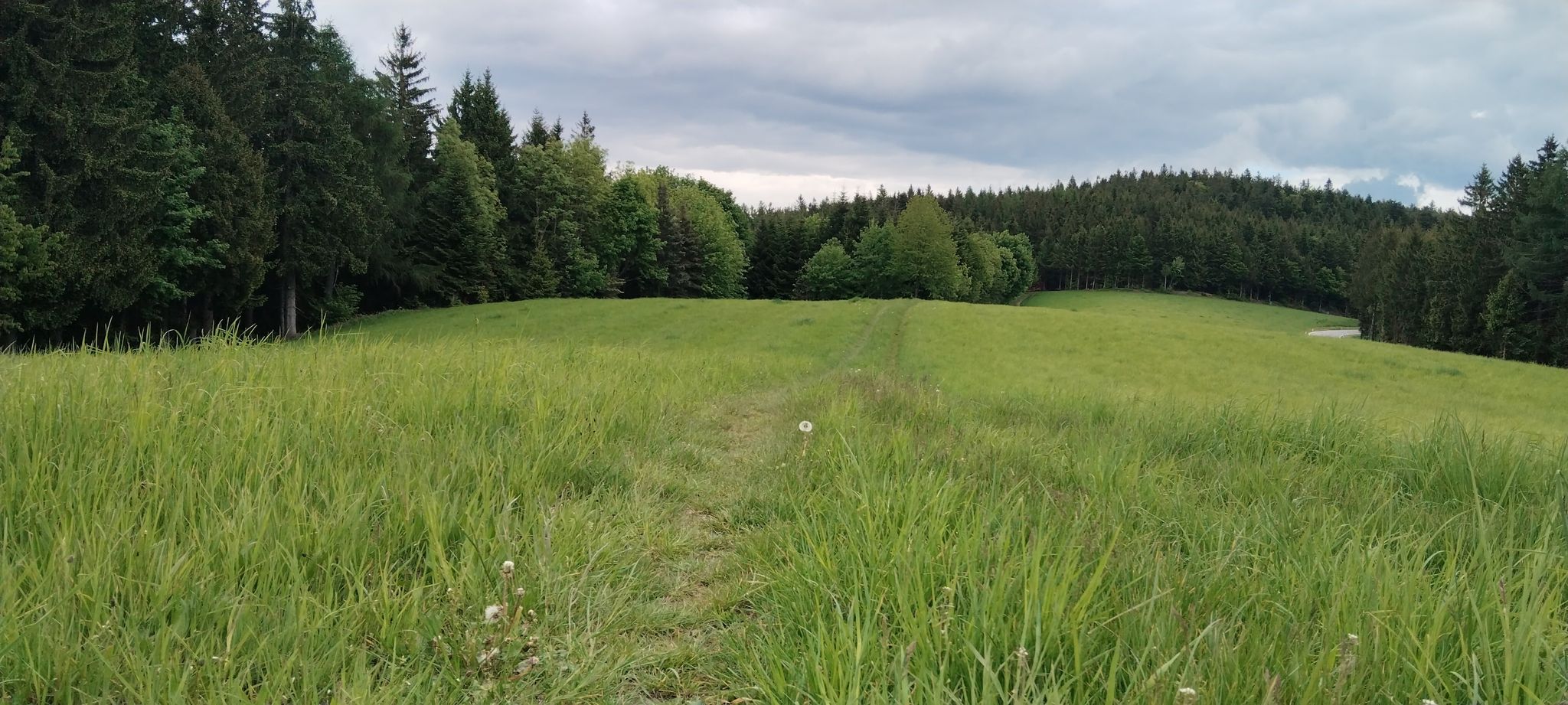 Wiesenweg