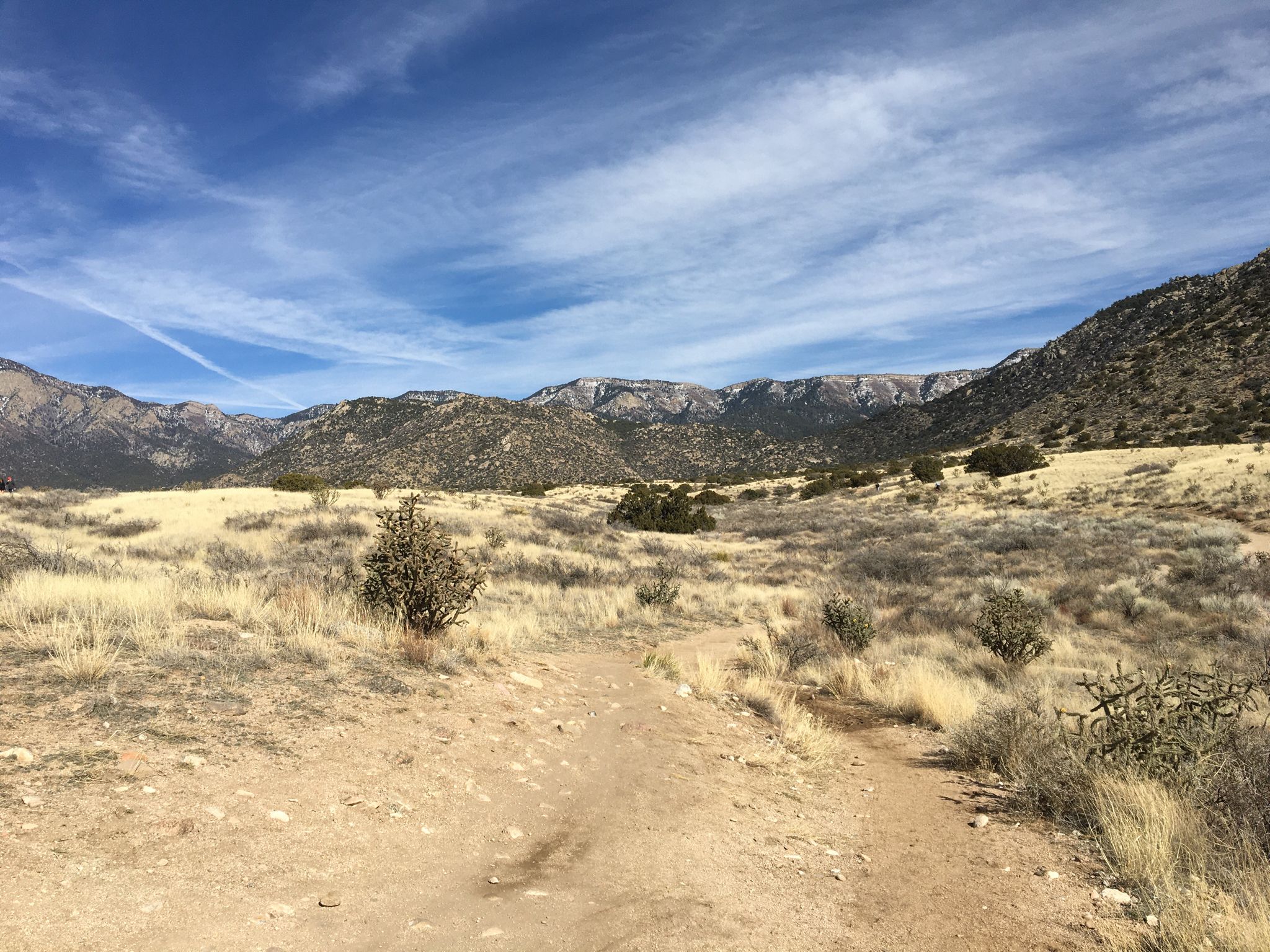 A dirt path through dry grass leads towards mountains under a blue sky. - Michael M. Emery and Trail 305 Loop