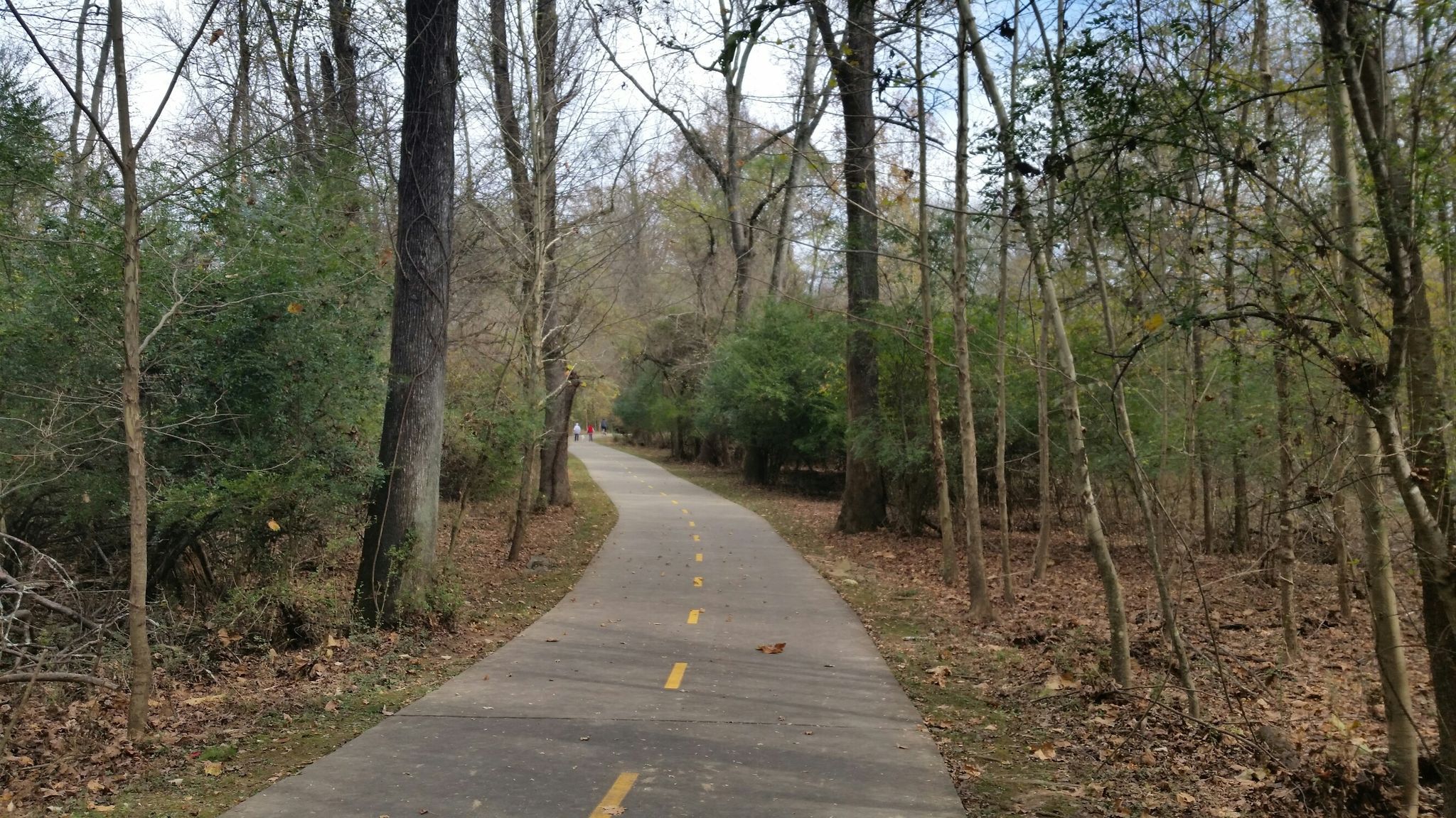 A paved path with yellow lines leads through a dense, autumn forest. - Big Creek Greenway Trail