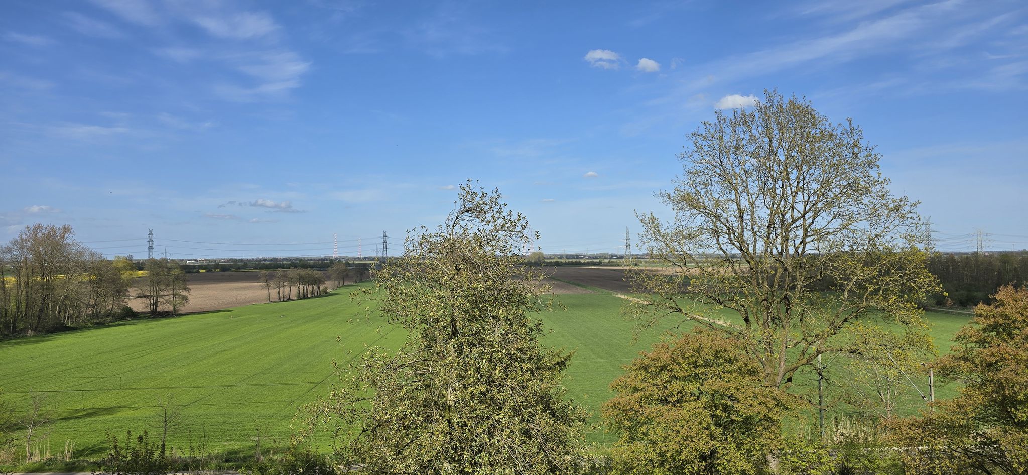 Blick von der Schlossterrasse