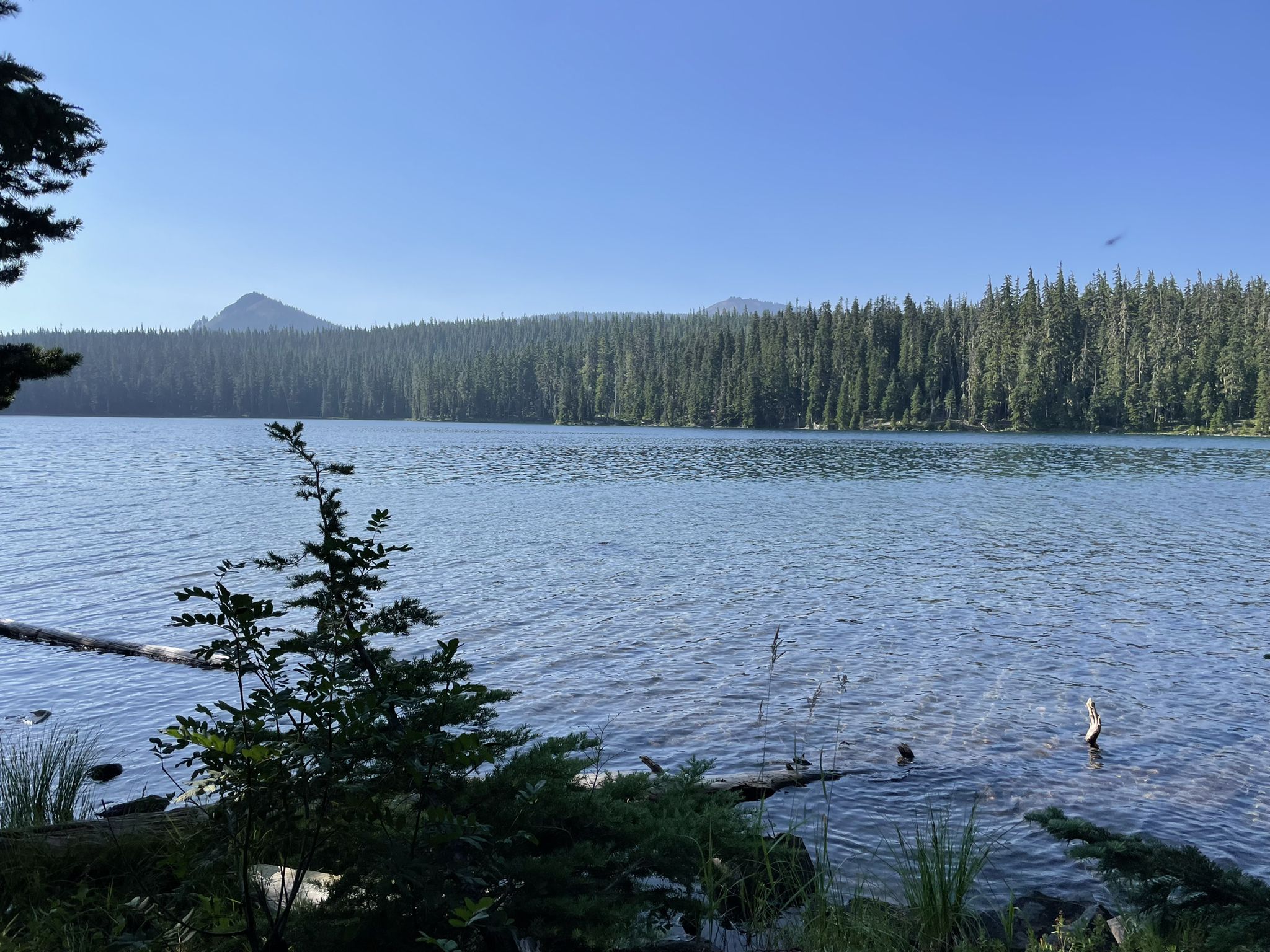Calm lake surrounded by dense evergreen forest under a clear sky. - Charlton & Lemish Lakes loop