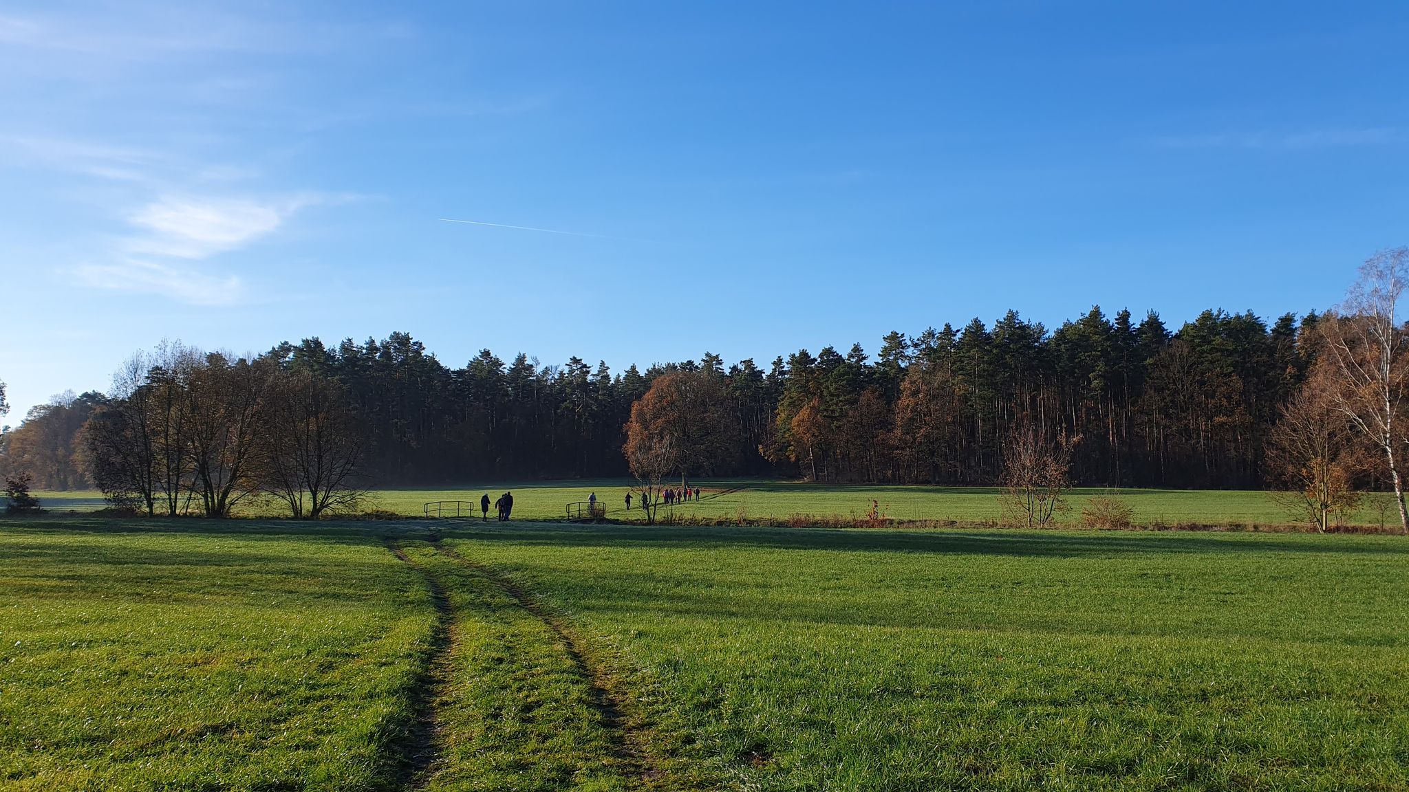 wir wandern über die Brücke des Wasserstrichs zu einem Baum mit Geocache