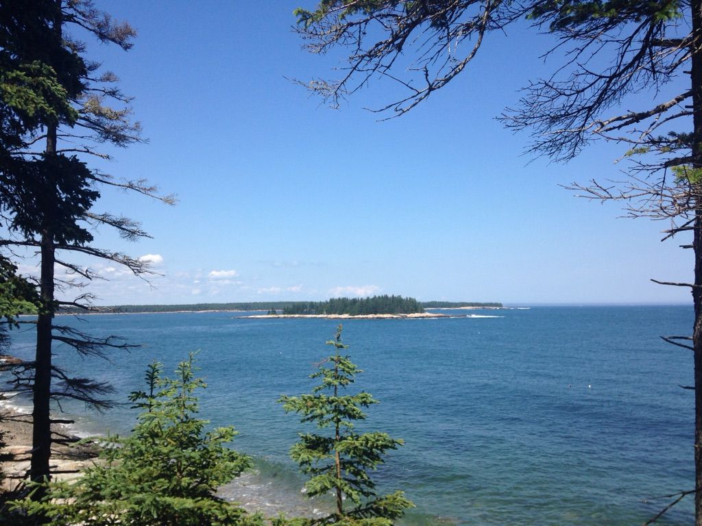 Ocean and distant island viewed through the dark branches of pine trees. - Winter Harbor, Schoodic Point, and Birch Harbor loop from Gouldsboro