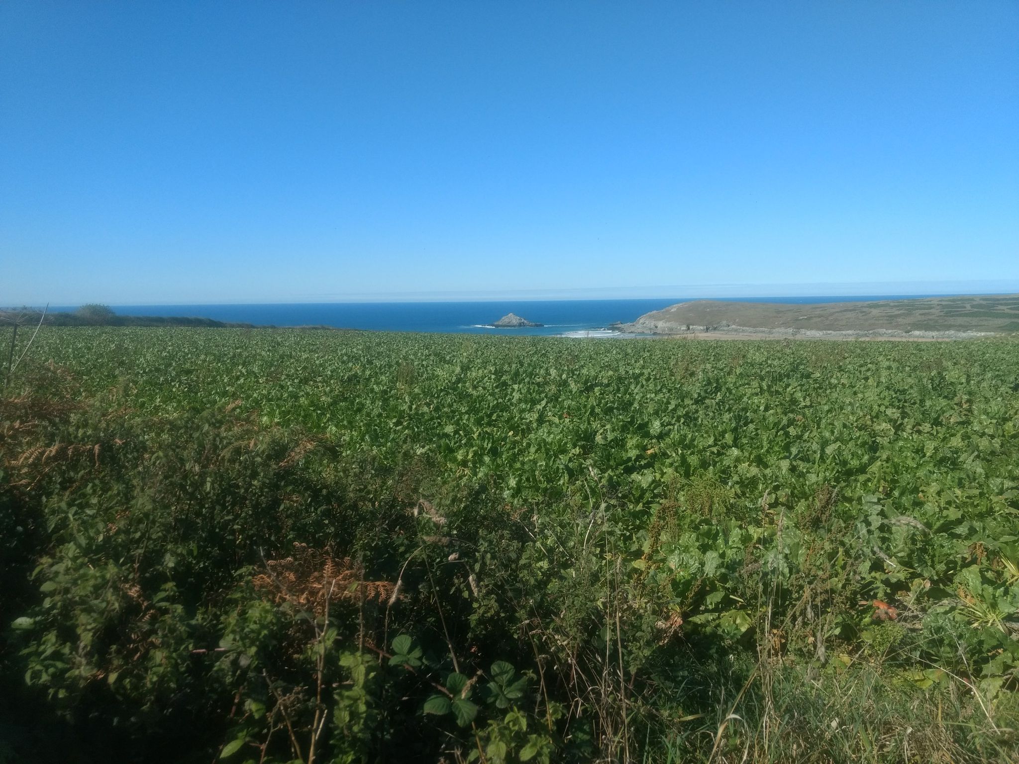The view from a gateway opposite the lane leading to Treago Farm. 