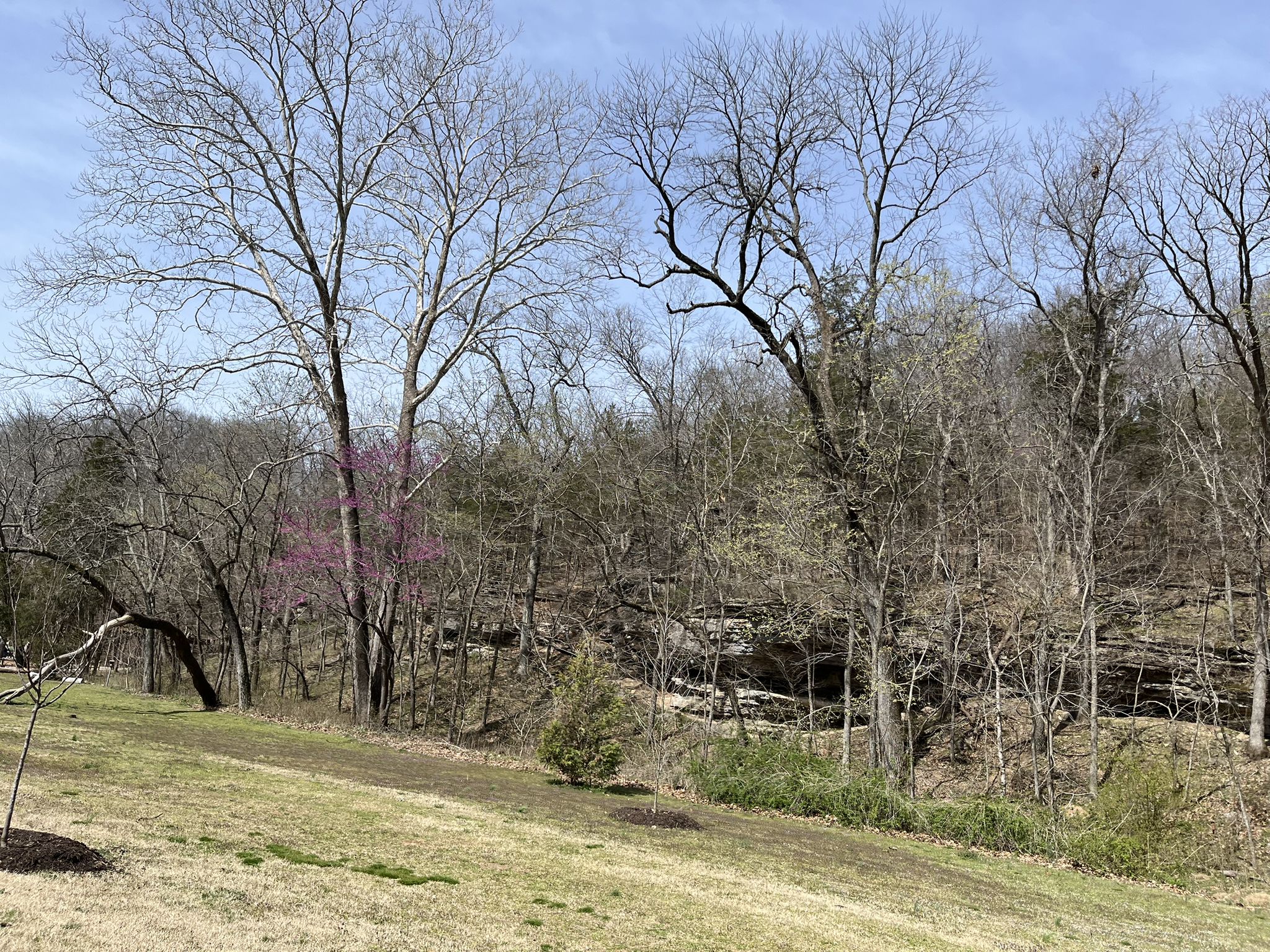 Grassy hillside leading to a bare forest under a blue sky. - The Gear Garden – The Gear Garden Beer Garden loop from Metfield Recreation Complex