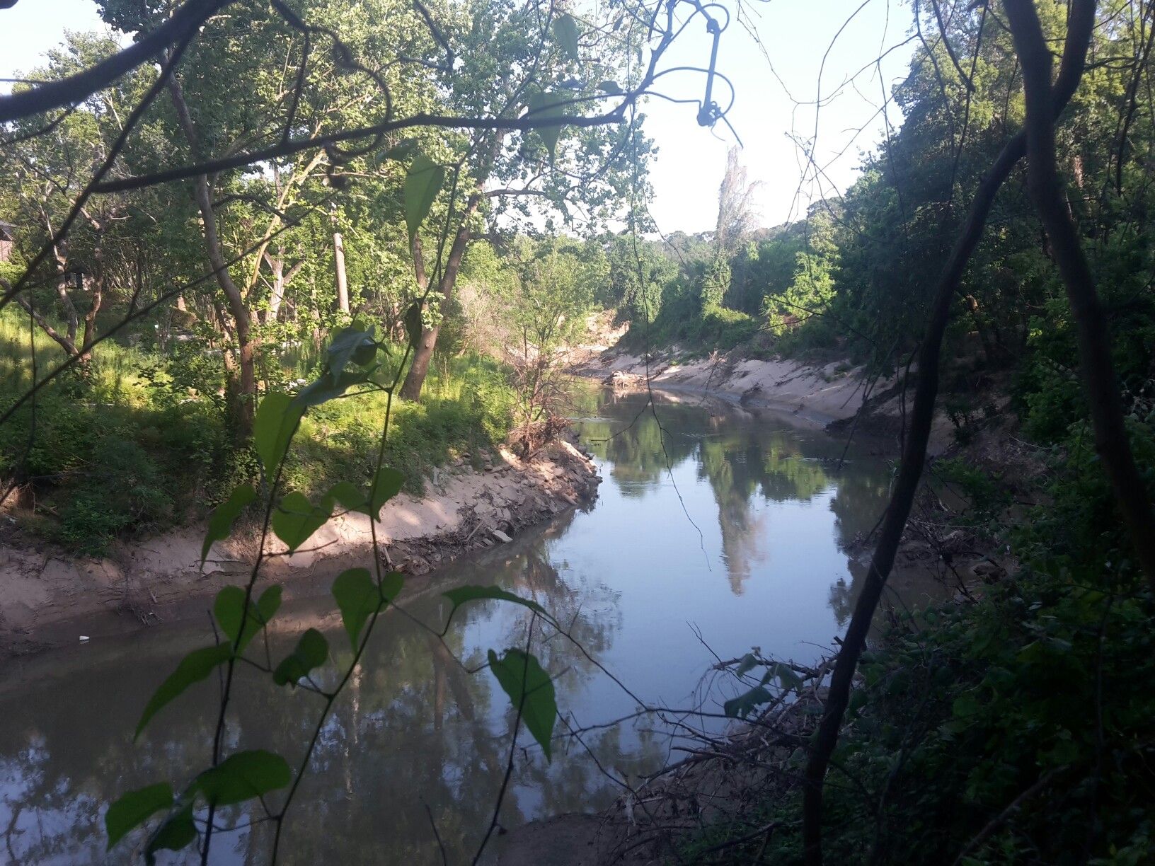 A calm river flows through a lush green forest under bright sunlight. - Purple Trail Loop