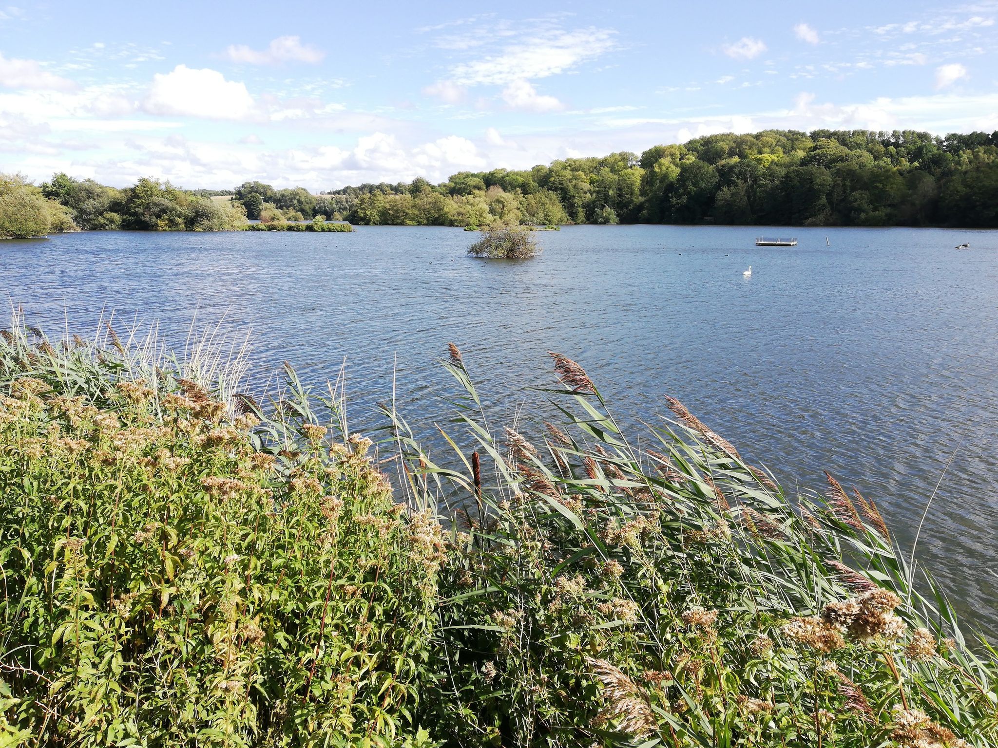 Stockers Lake