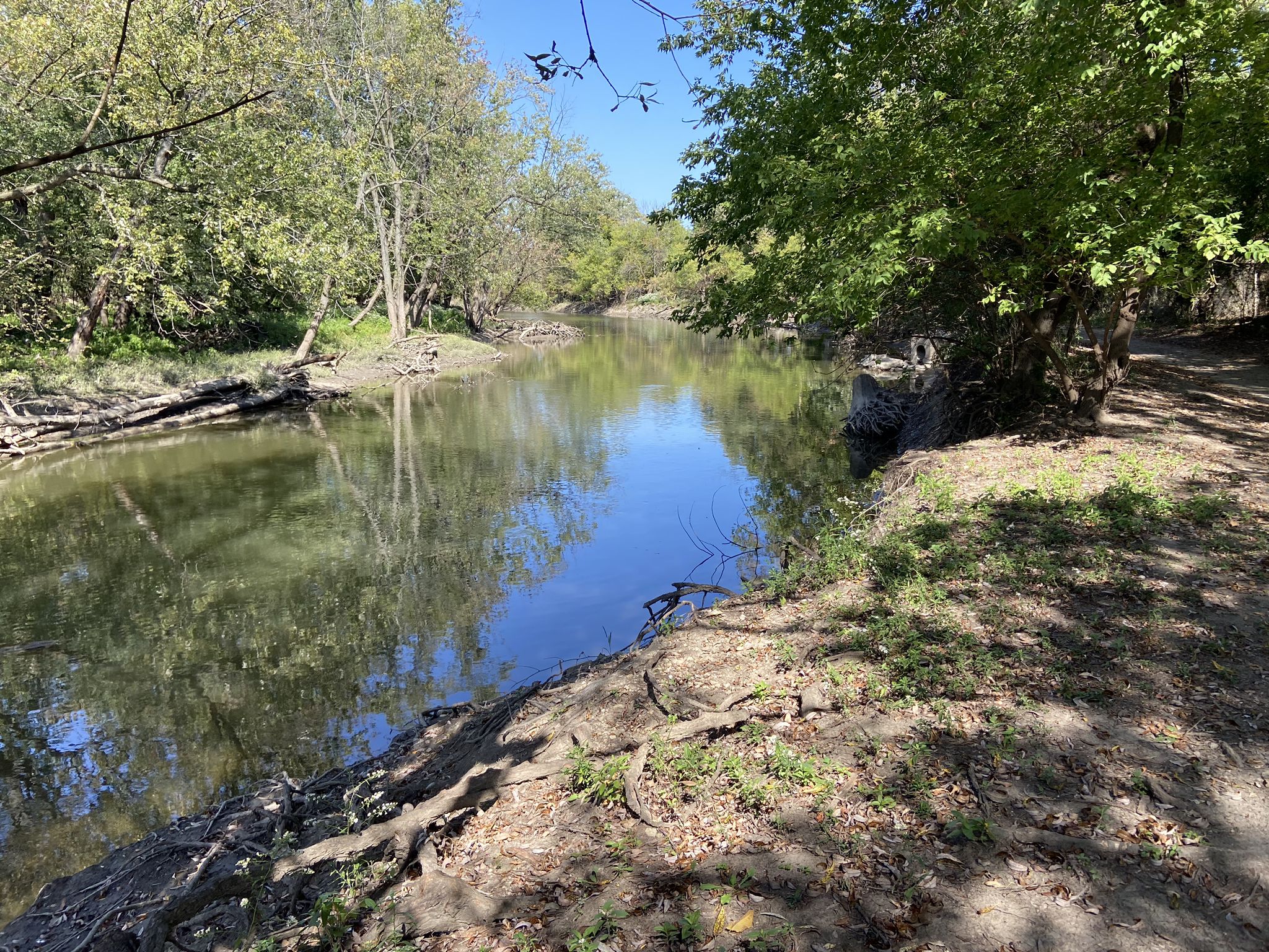 A calm river reflects green trees and blue sky on a sunny day. - Robinson Woods North – Catherine Chevalier Woods loop from Elmwood Park