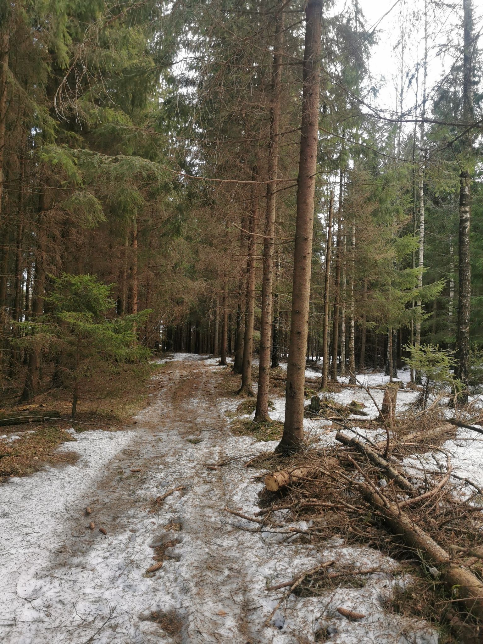 This is a good place to ice skate ha