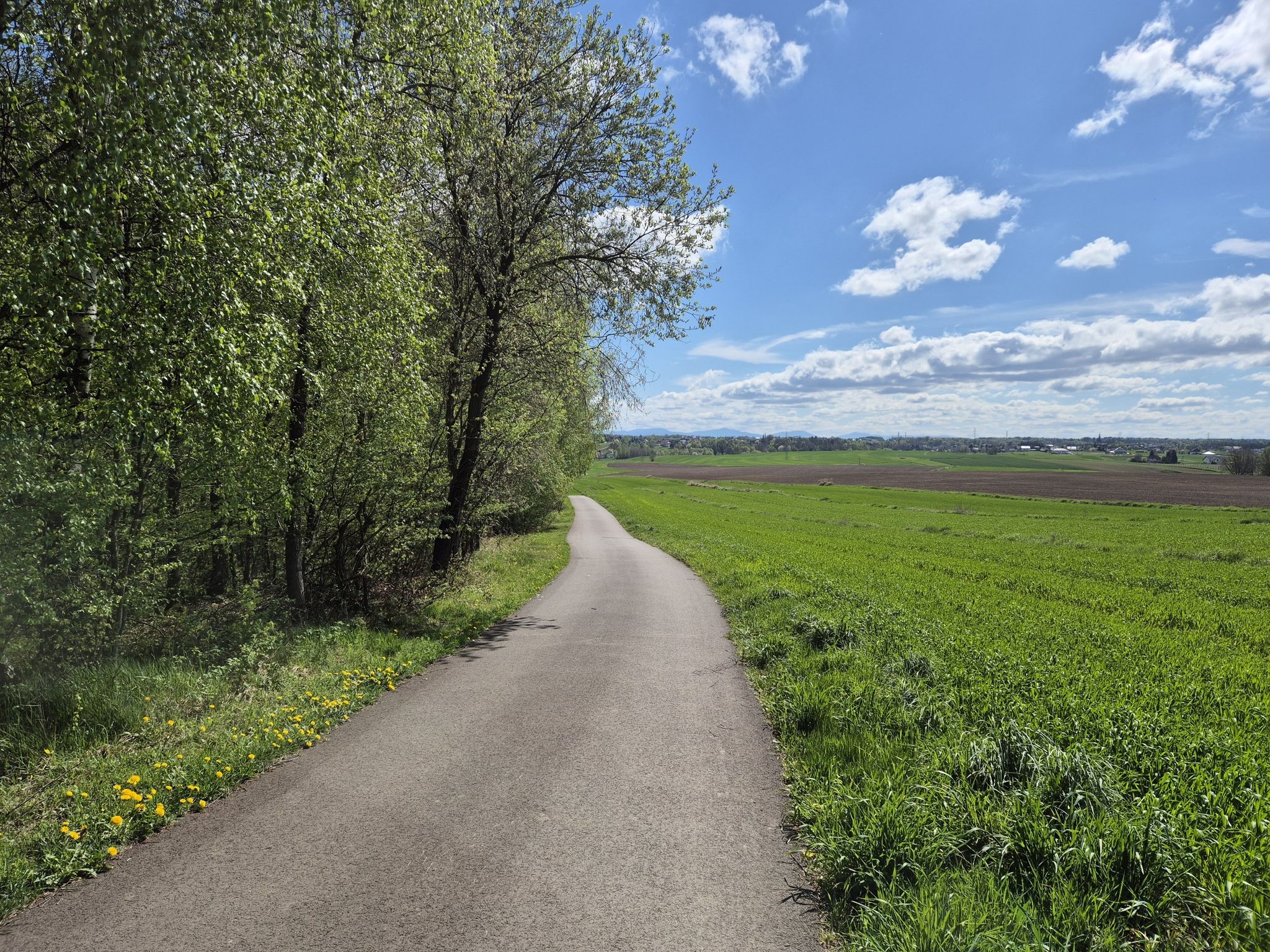 Ładny asfalt