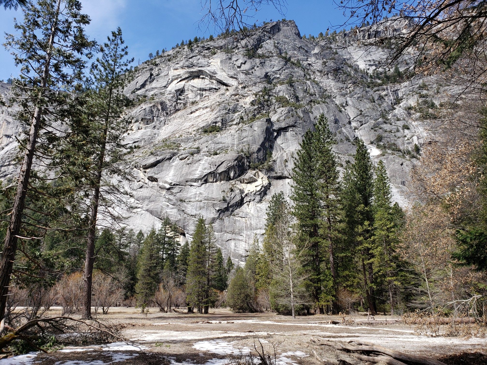 Towering granite mountain face overlooks a snowy forest floor on a sunny day. - Yosemite Valley Loop Trail