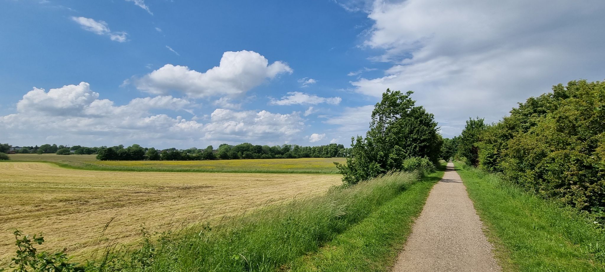 Bahntrasse Groß Steinrade – Lübeck-Buntekuh