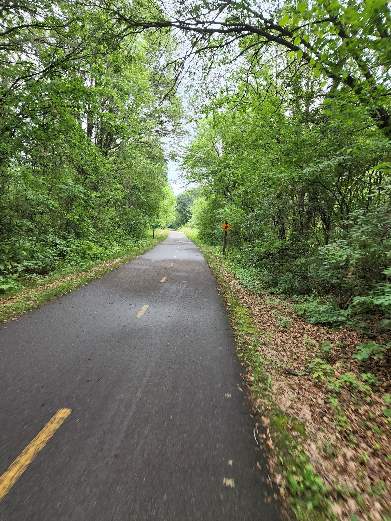 Paved path through dense green trees with dappled sunlight. - Bavarian Hunter Restaurant – Duluth Junction loop from Grill Stand