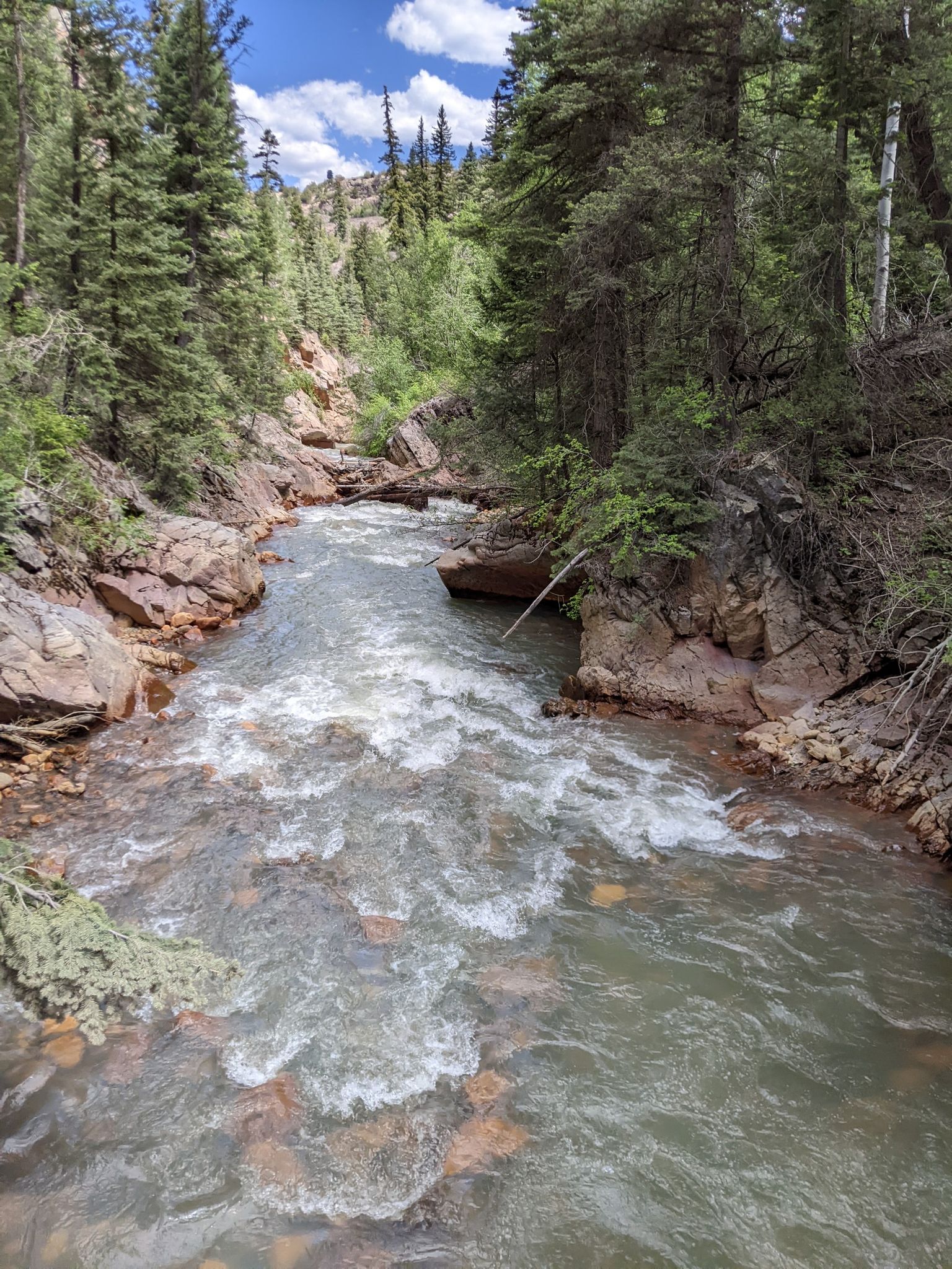 A rushing river flows through a rocky, forested canyon on a bright day. - Ouray Ice Park Perimeter Loop