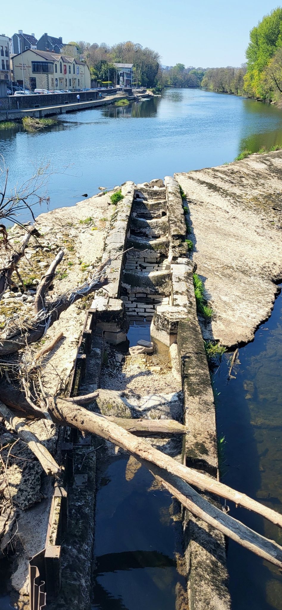 Was da wohl aus dem Wasser schaut? Ob das mal ne Fischtreppe war 🤔 ? 🐟🐠🐡 sehen wir zumindest viele