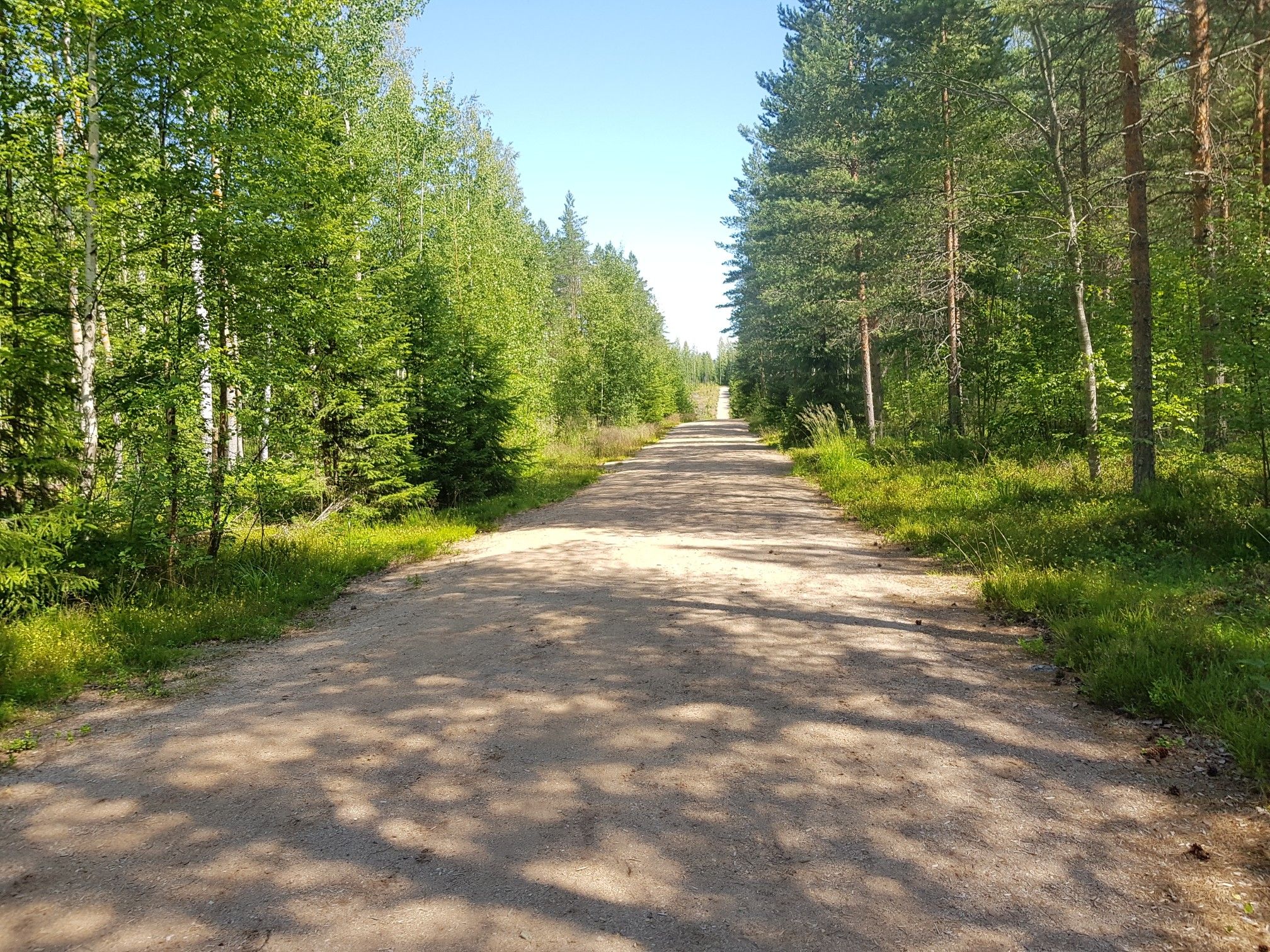 Pururata Työtjärven lähellä - aivan hirveää pyöräiltävää