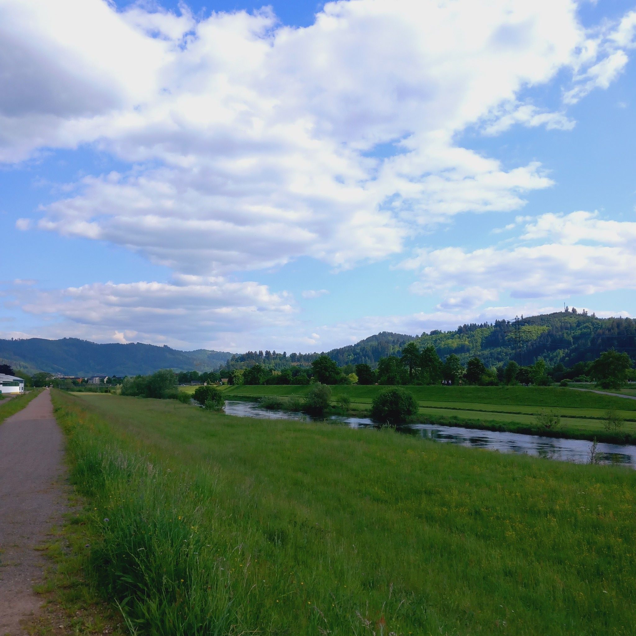 Kinzigtal Blick Richtung Schwarzwald