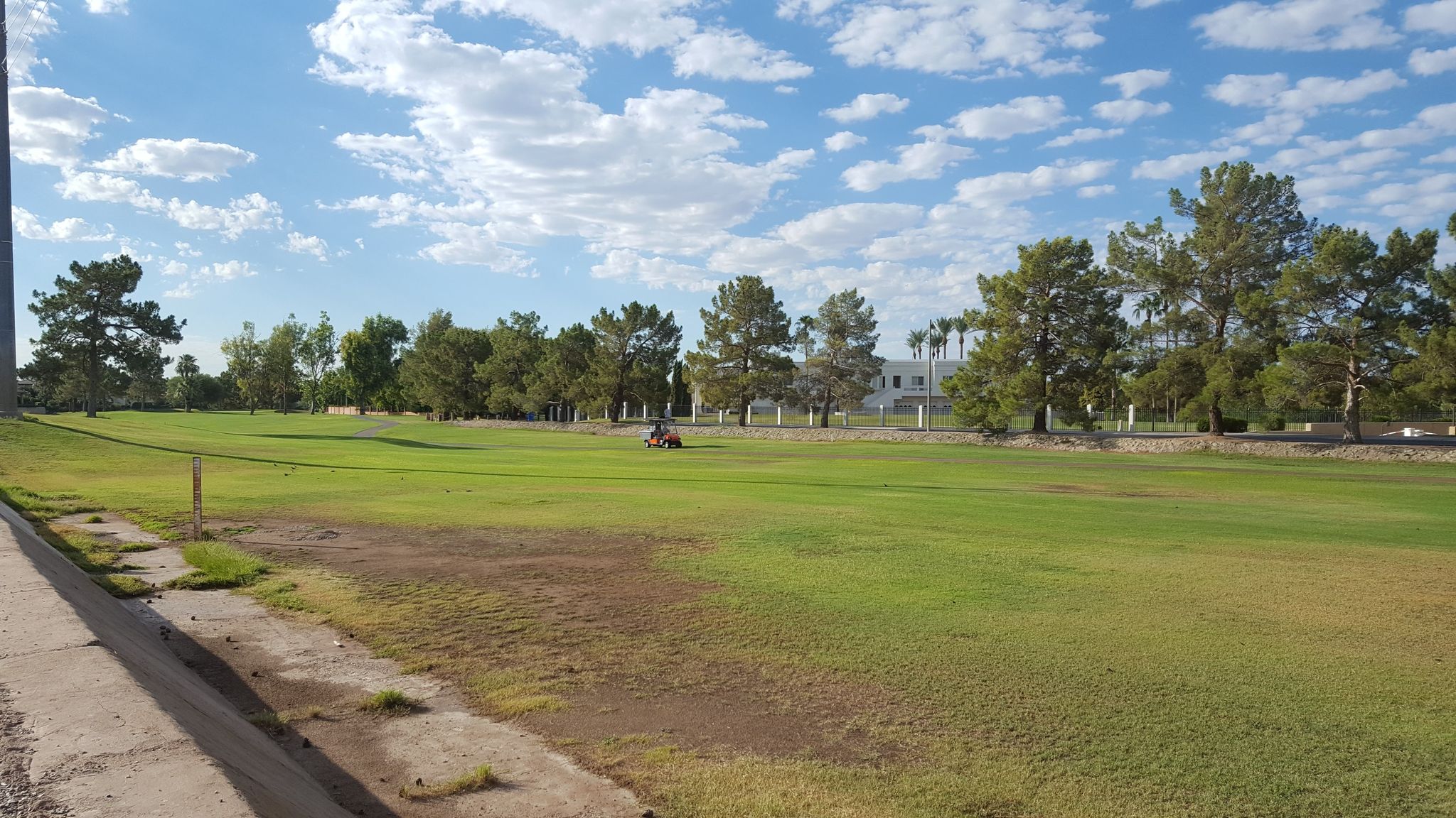 A wide green field with scattered trees and a distant vehicle under a bright sky. - Arizona Canal Trail: 32nd Street to 55th Ave