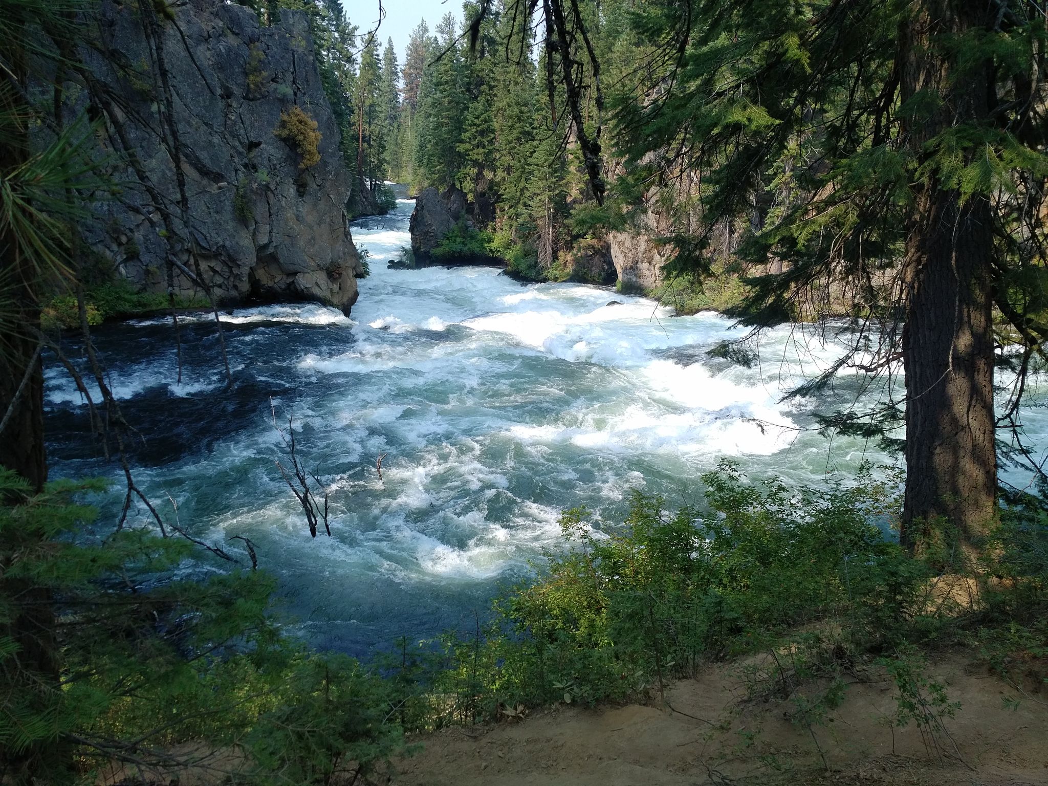 Rushing river flows through a rocky canyon with dense green pine trees. - Benham Falls loop Run from Sunriver via Deschutes River Trail