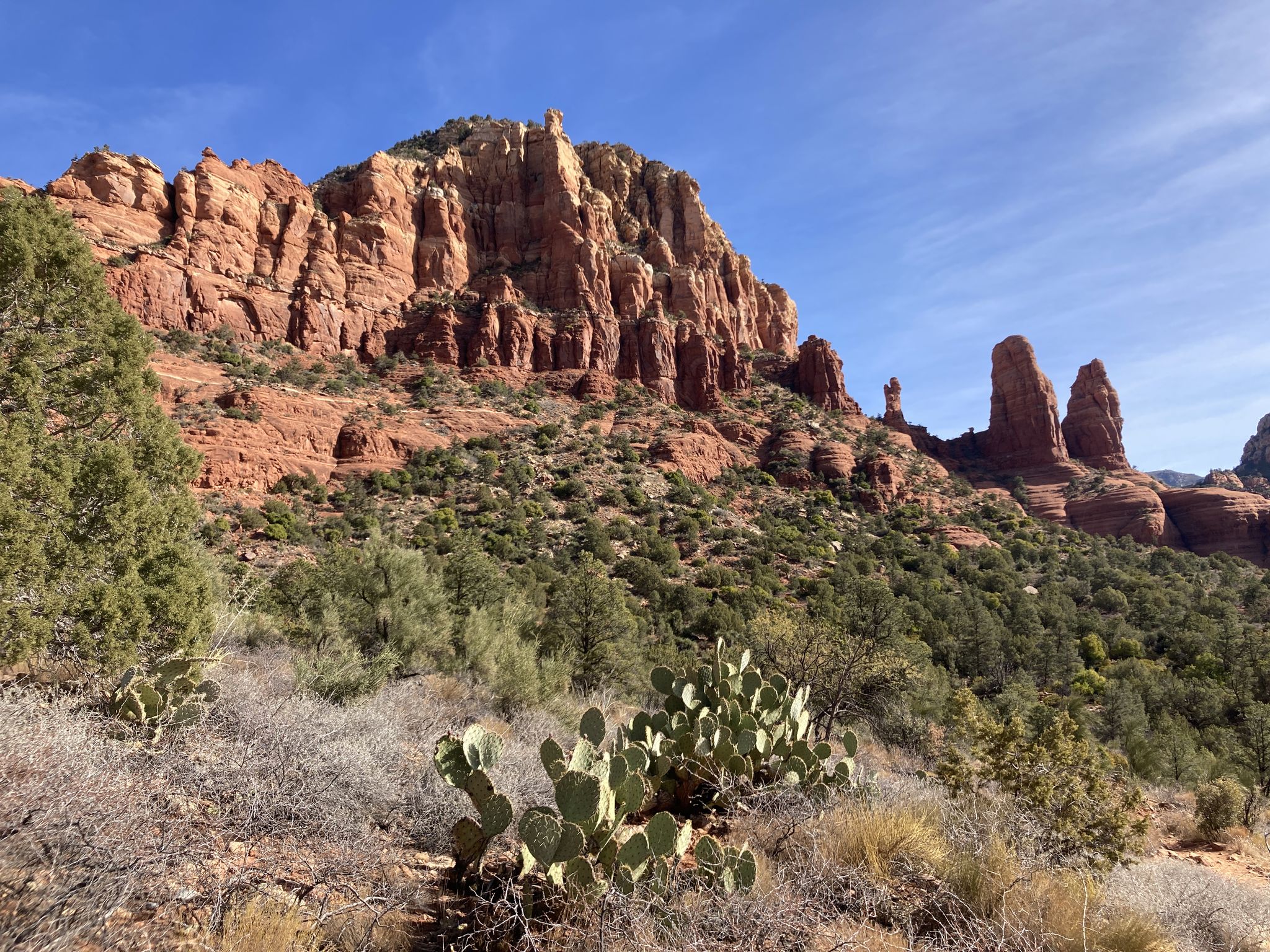 Red rock formations, green trees, and cacti under a bright blue sky. - Chapel of the Holy Cross via Red Rock Scenic Byway