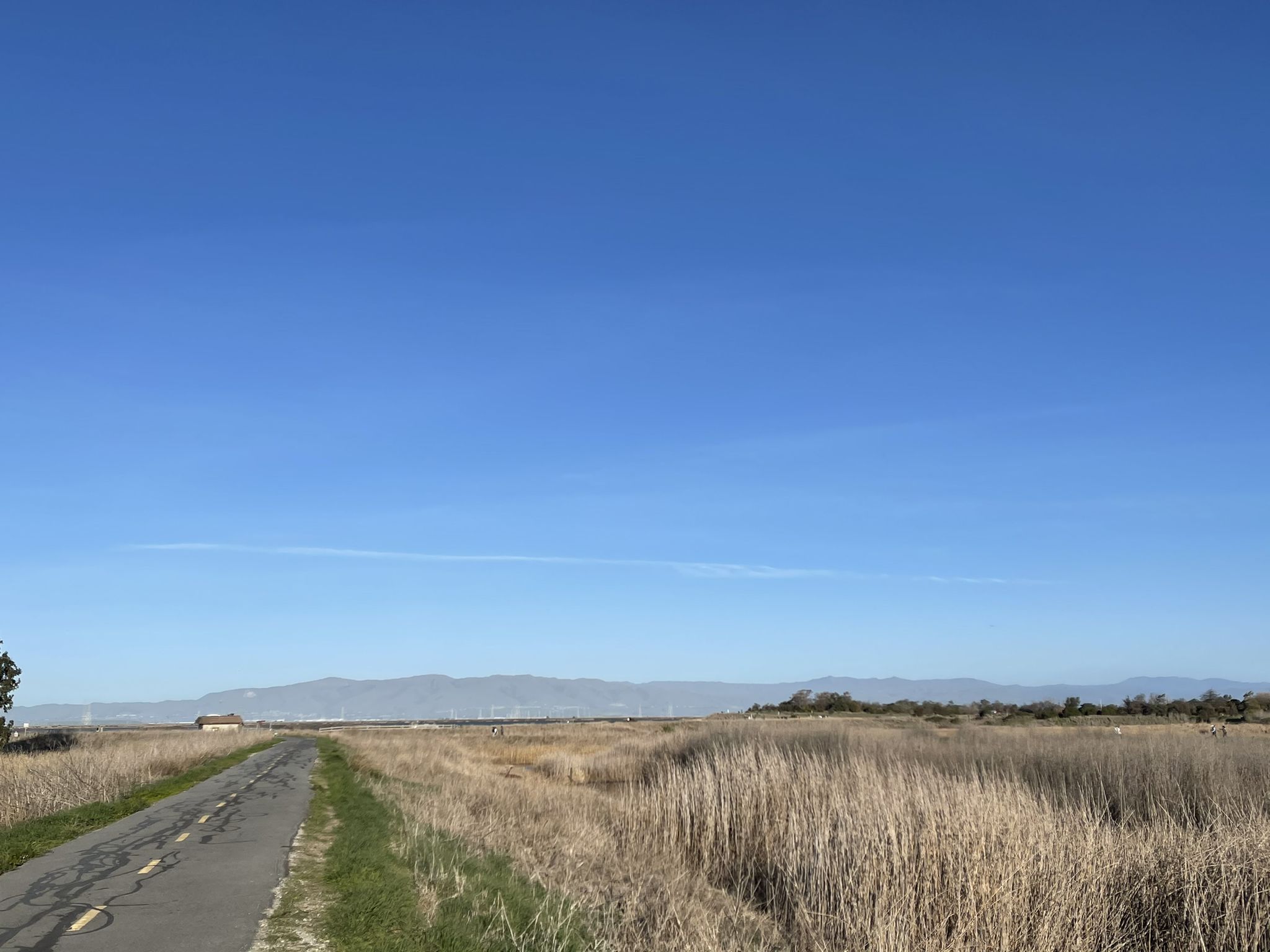 Paved path through dry marsh grass extending to distant mountains under a clear sky. - Emily Renzel Wetlands – Baylands Nature Preserve loop from Belmont