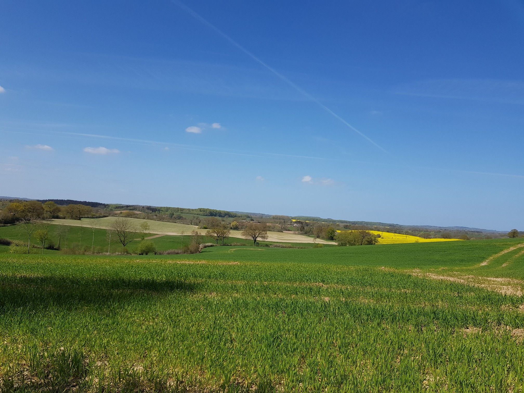 Ausblick