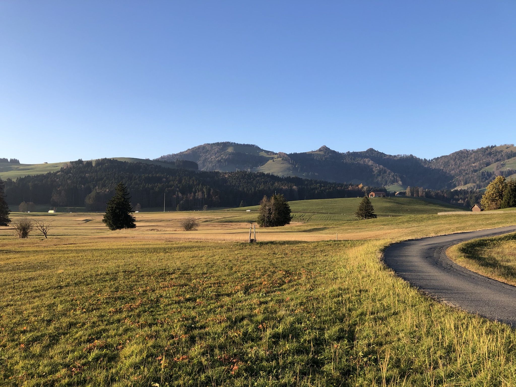 auf dem Ricken