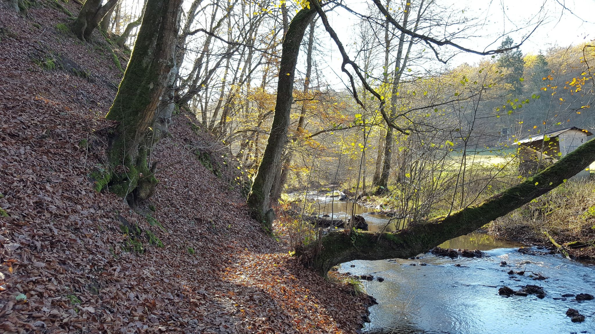 Passage am Flaumbach