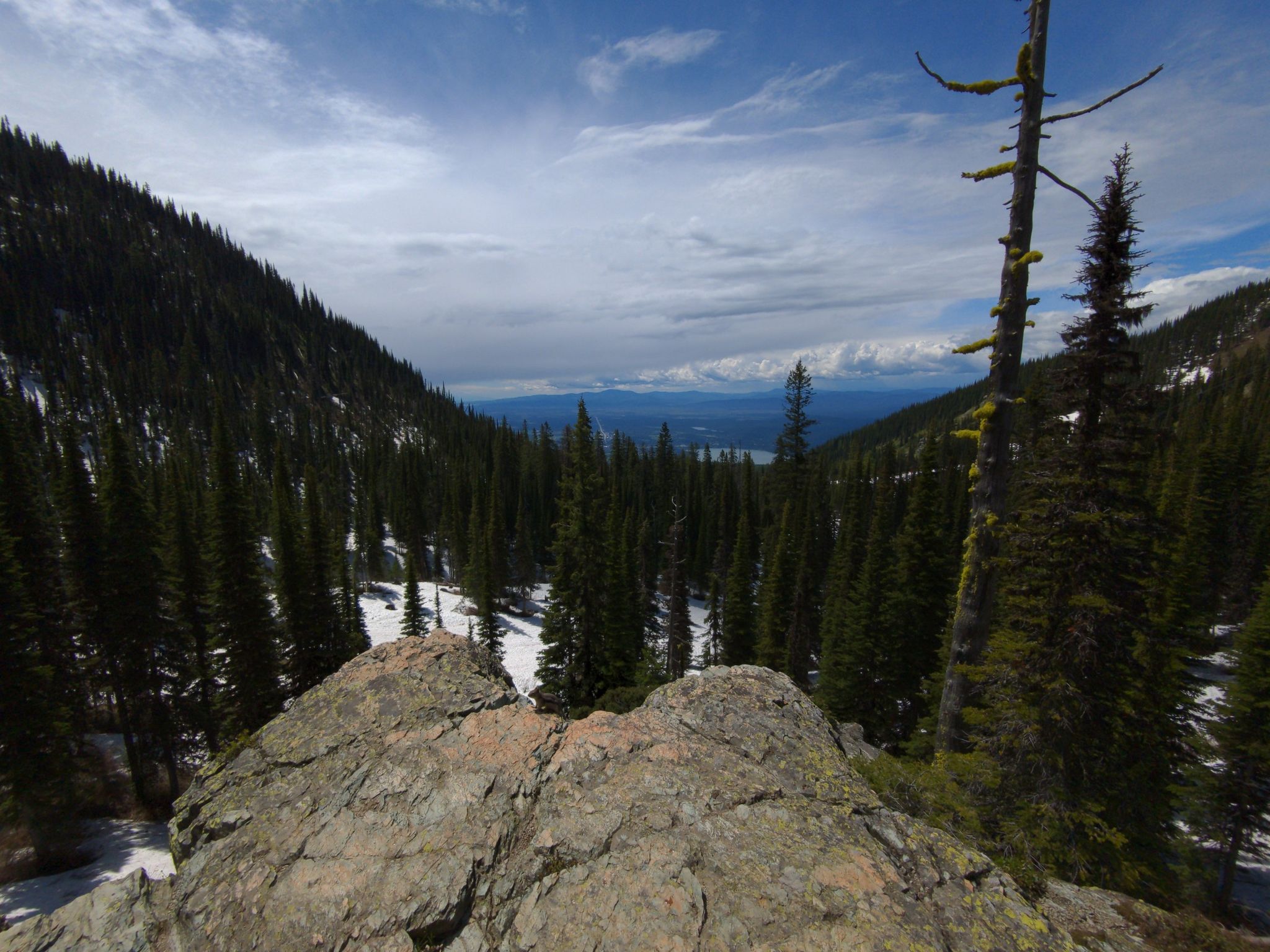 Rocky outcrop overlooks a snowy, forested valley with distant mountains. - Summit Trail and Danny On Trail Loop