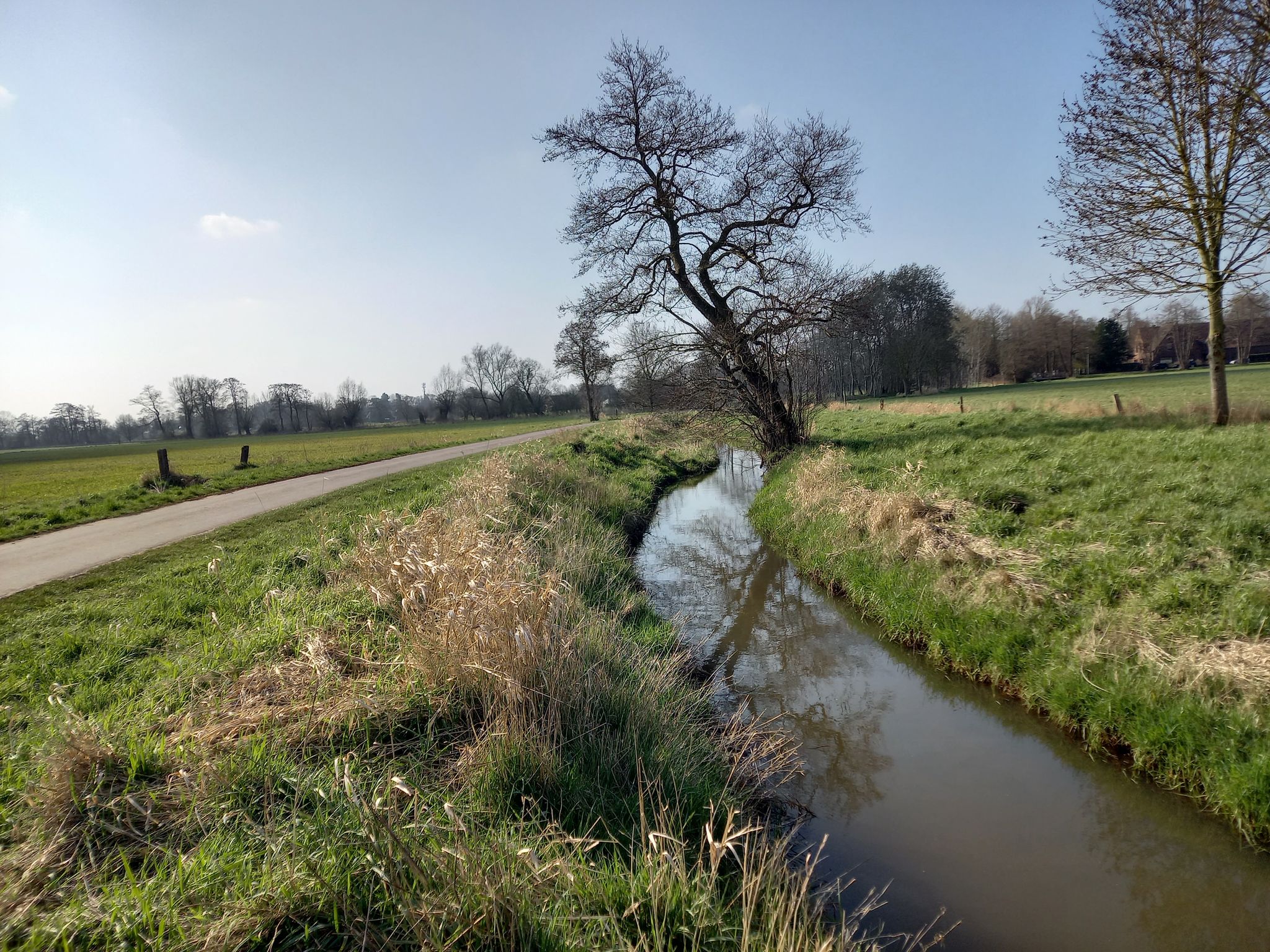 Leester Mühlenbach (Hombach)