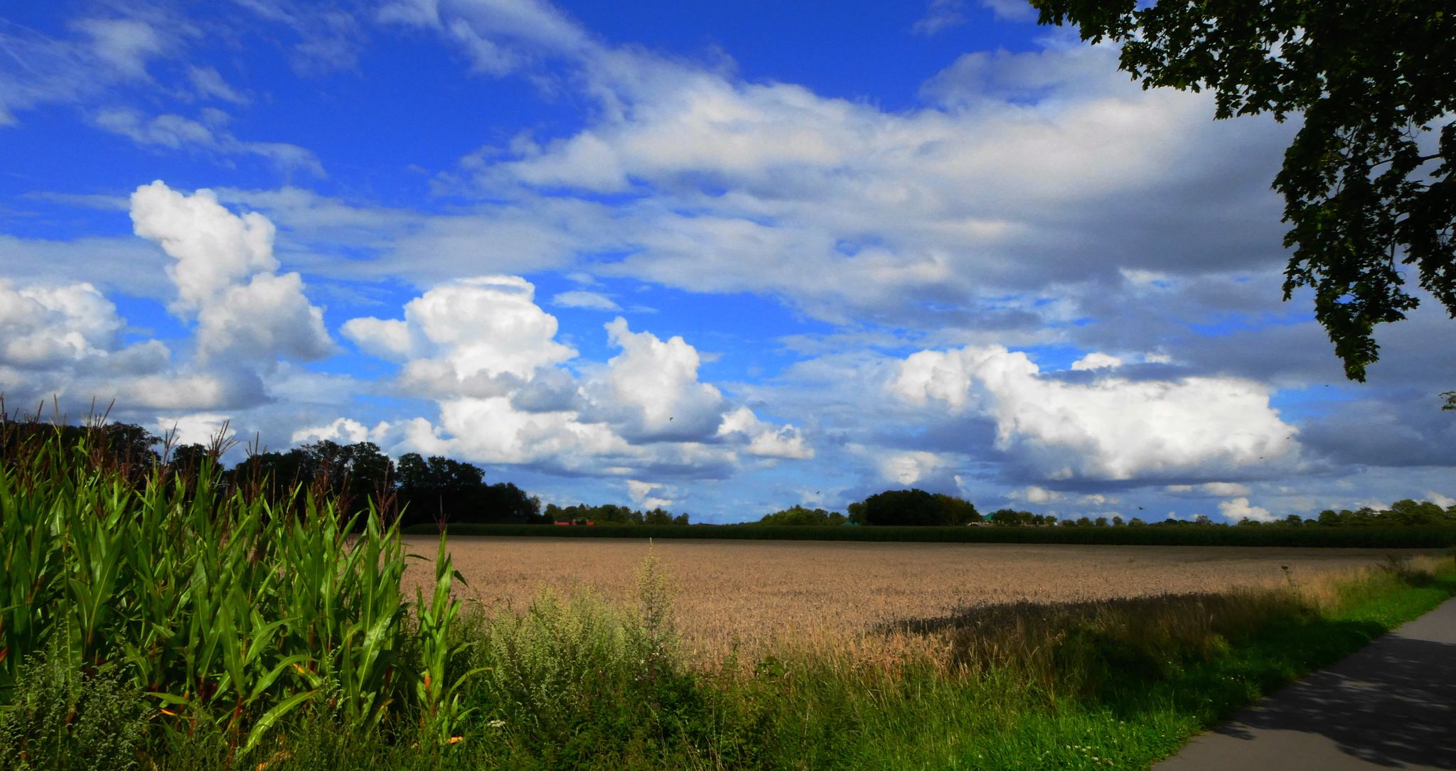 bei Ahlerstedt