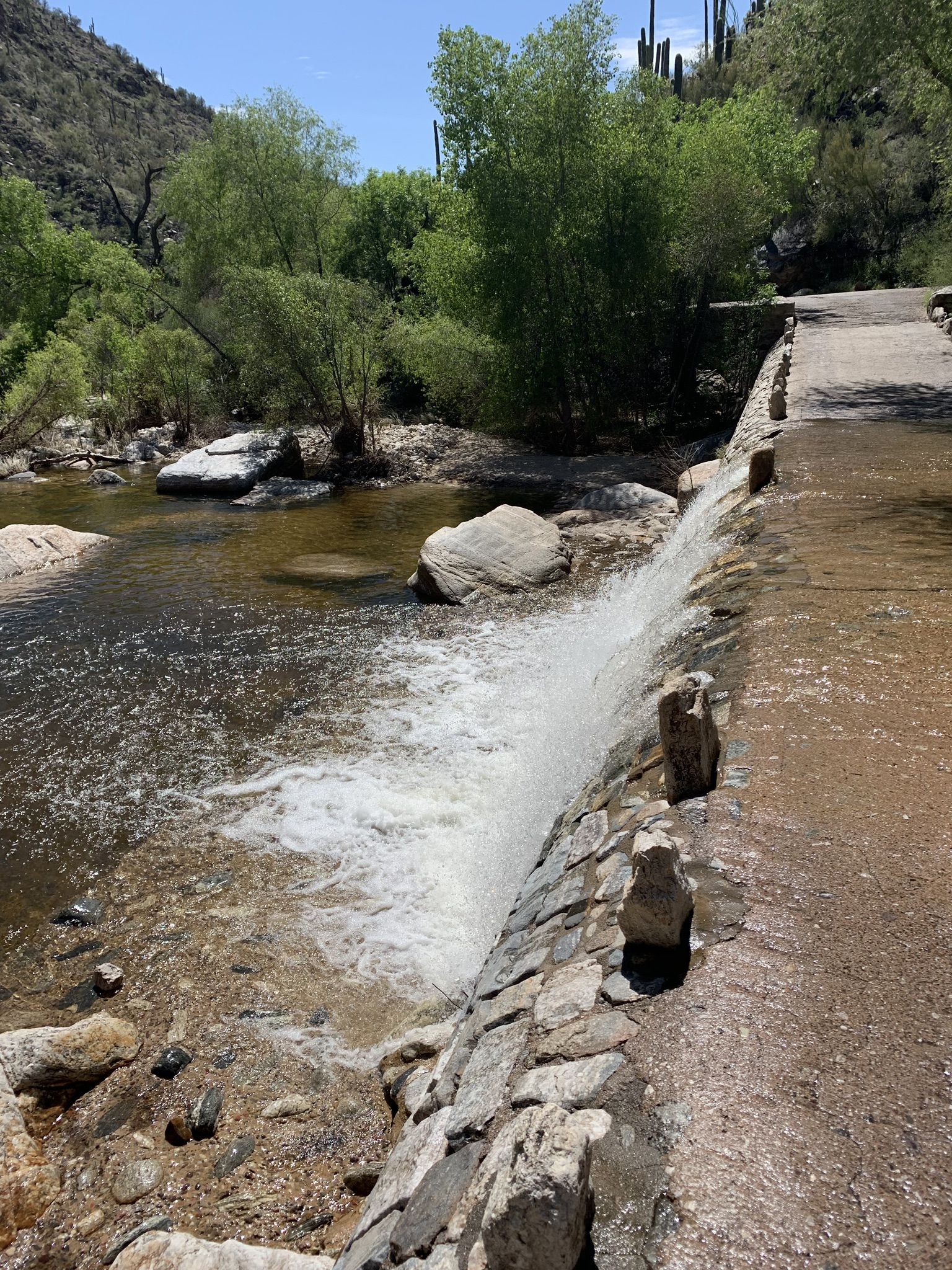 Water flowing over a low concrete and stone bridge in a desert river. - Sabino Tram Road
