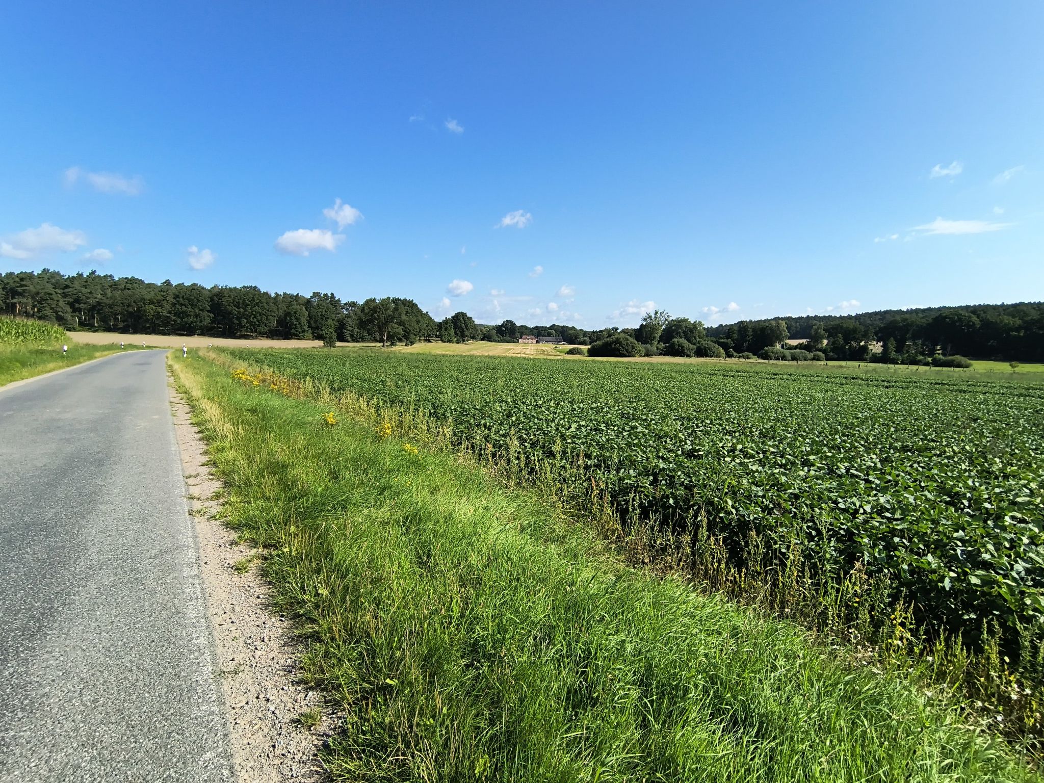 schöne Natur