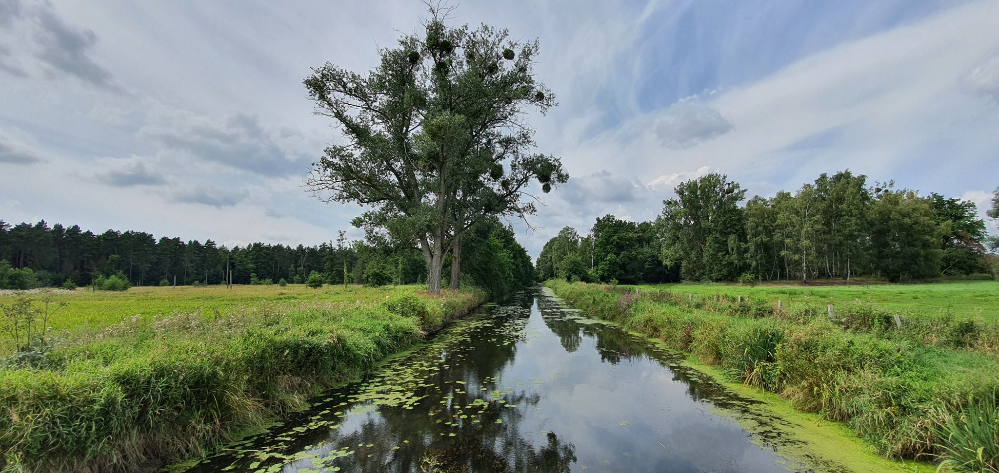 am Allerkanal Blick zurück