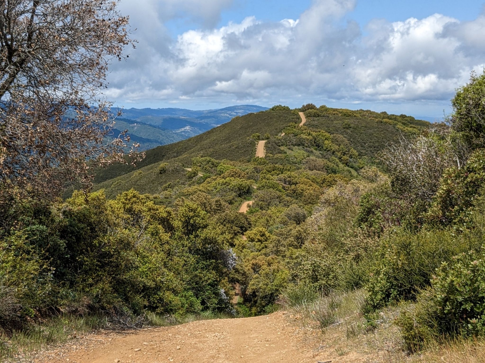 A winding dirt trail traverses lush green hills under a cloudy sky. - Limekiln, Priest Rock and Kennedy Trail