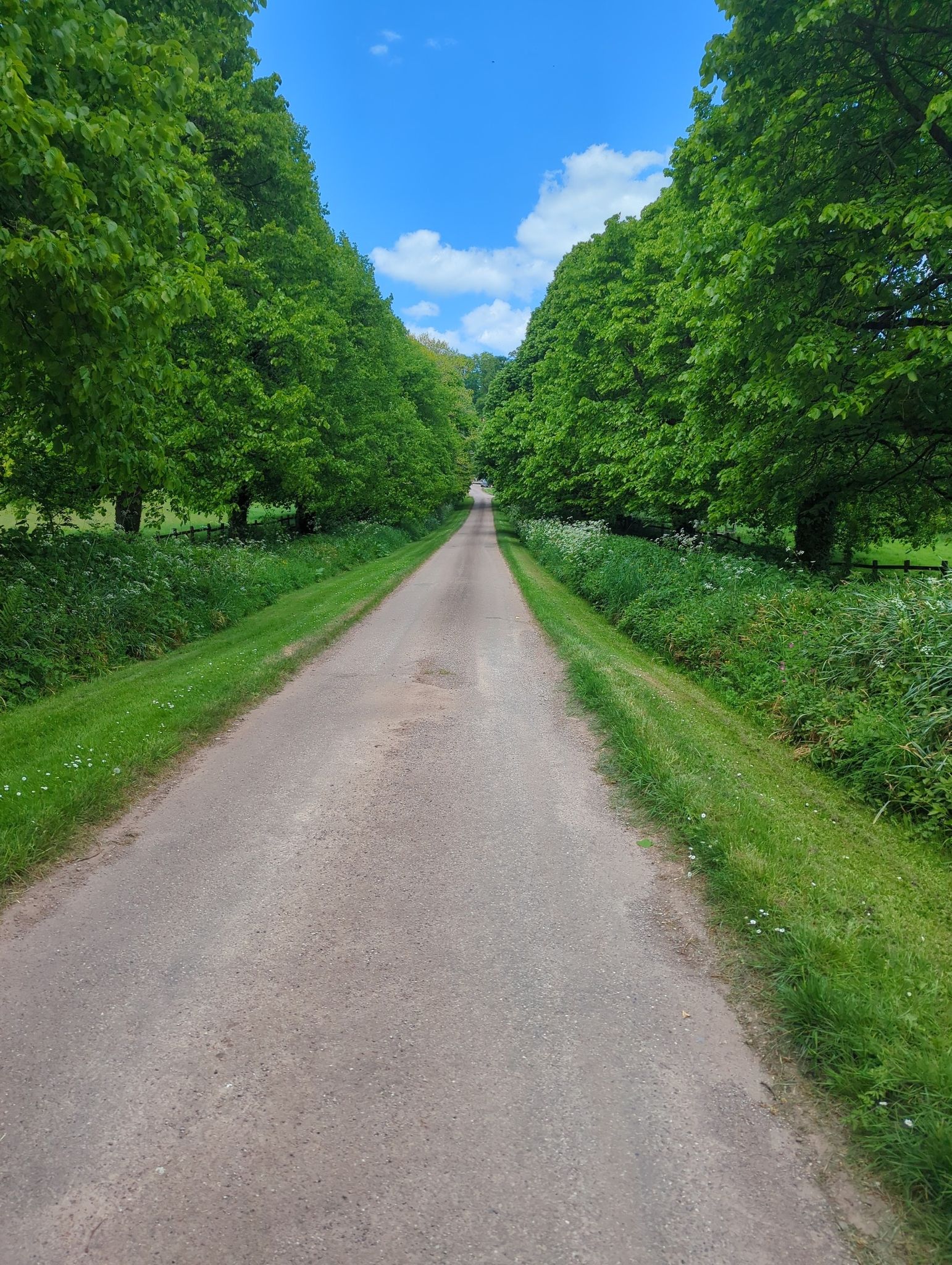 lovely approach to Chevithorne Barton