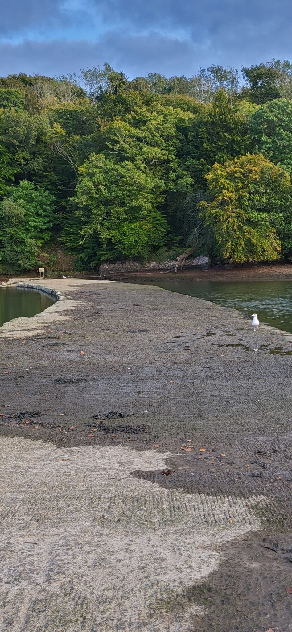 Der Damm. In 1. Linie fischt man hier Krabben. Nicht unsere größte Leidenschaft😉